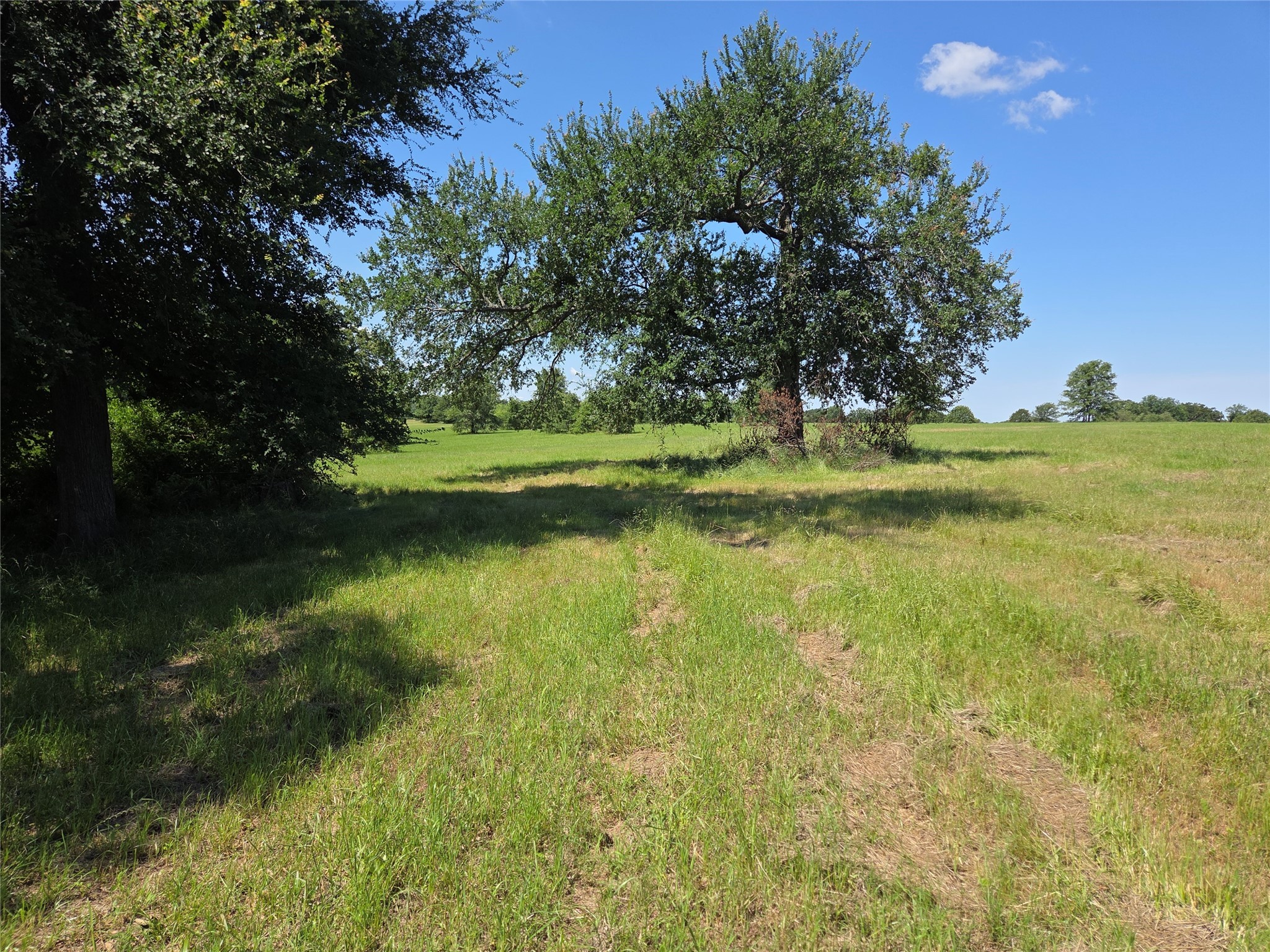 Lot 100 Lake Ridge Drive