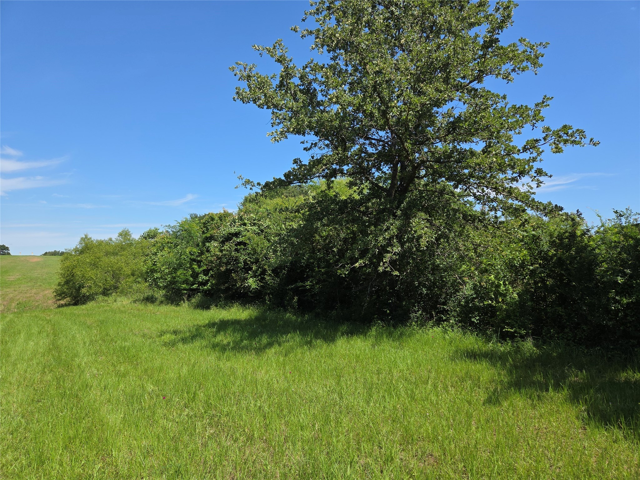 Lot 100 Lake Ridge Drive
