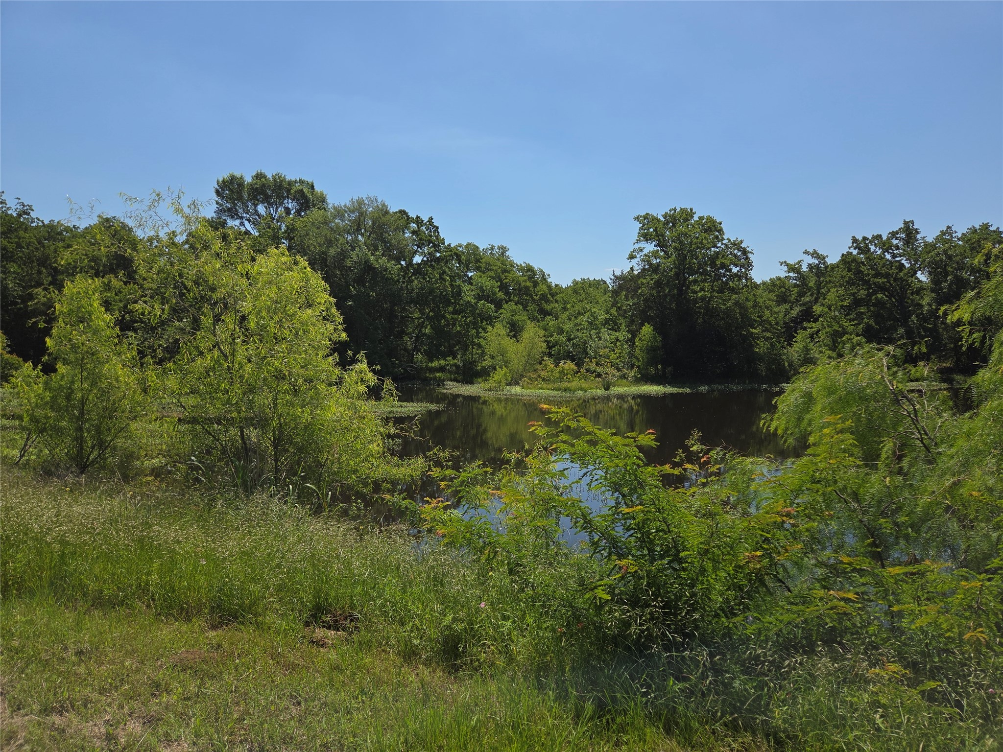 Lot 100 Lake Ridge Drive