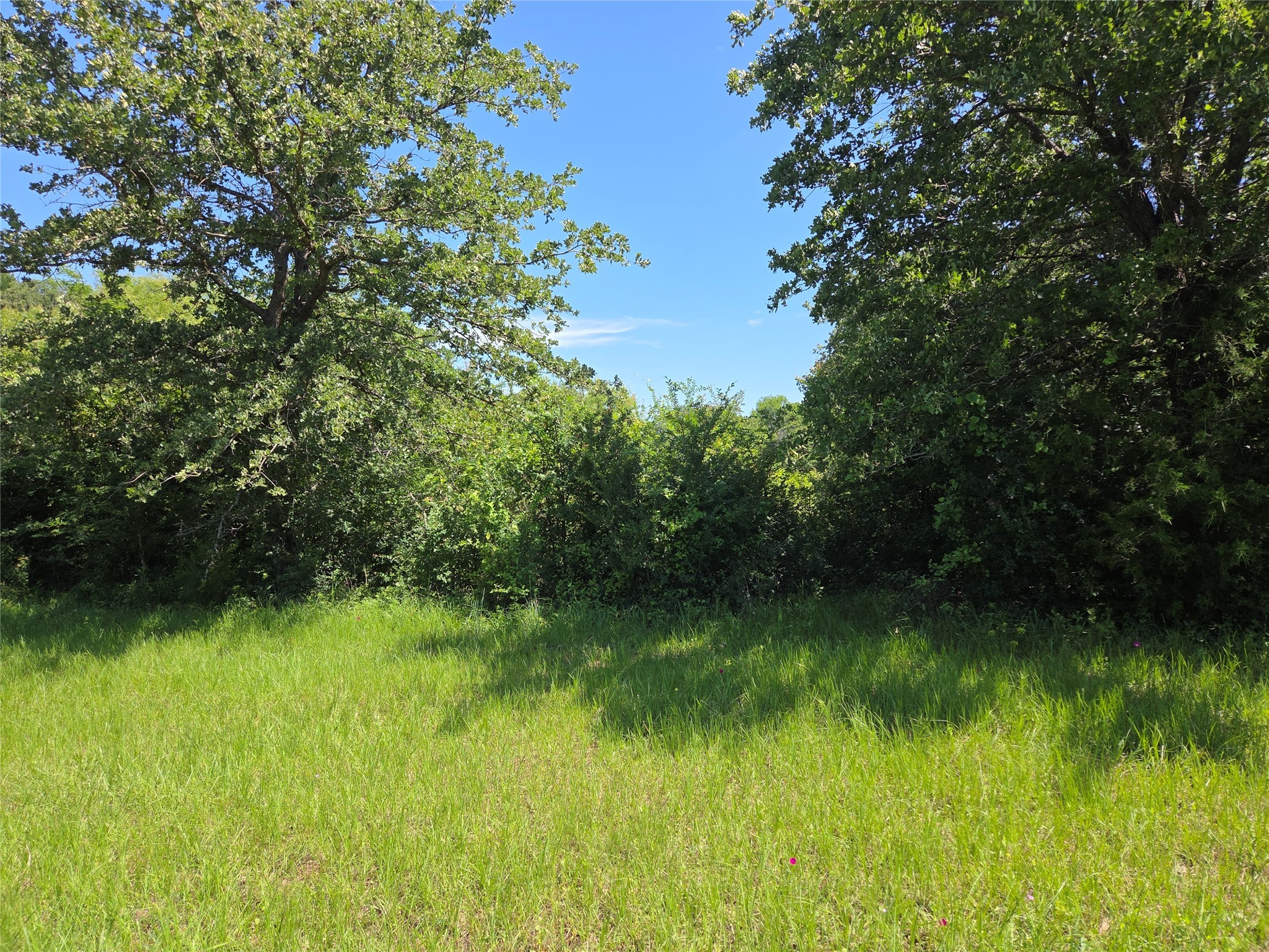 Lot 100 Lake Ridge Drive