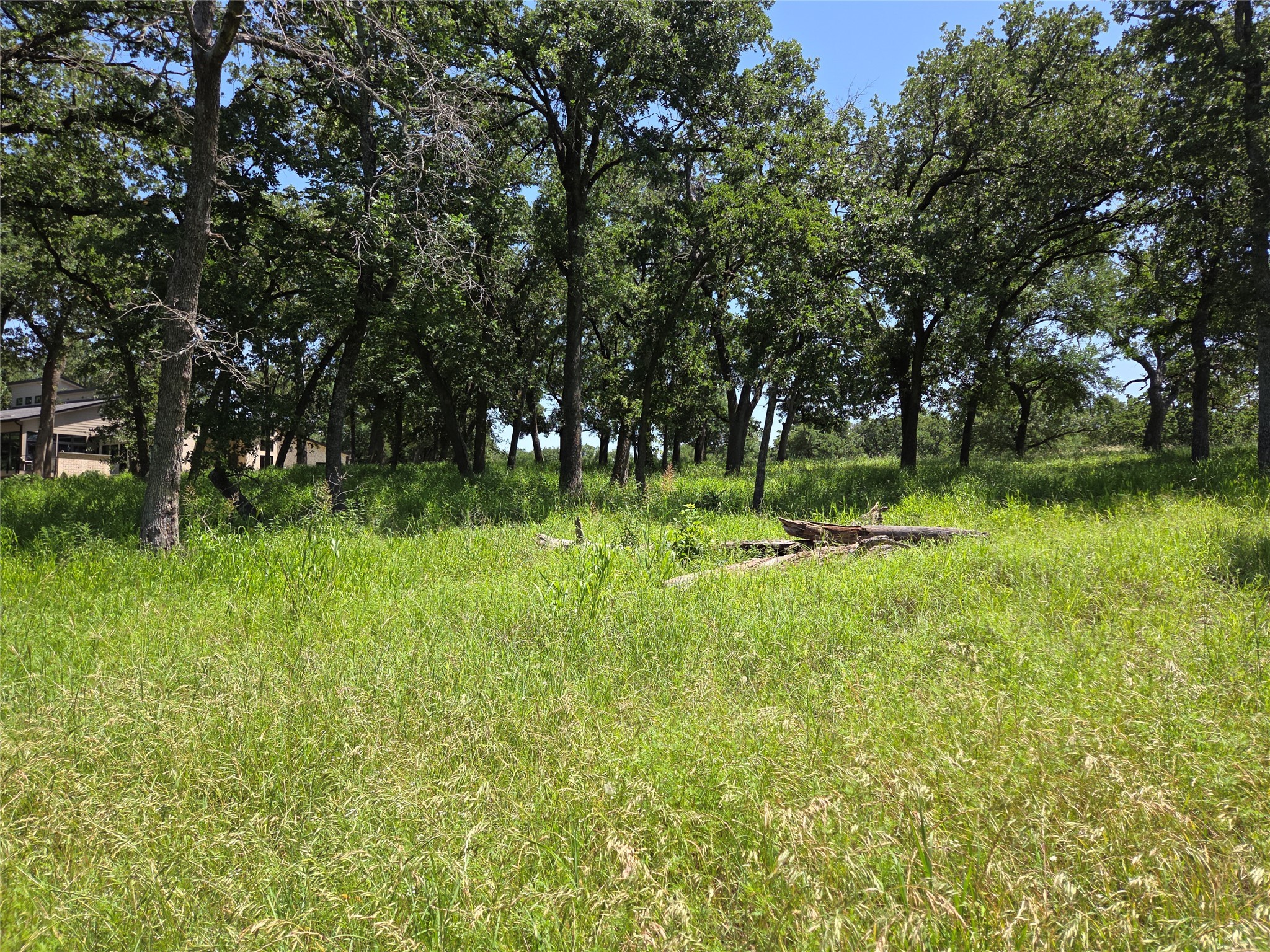 Lot 15R SE County Rd 2359b