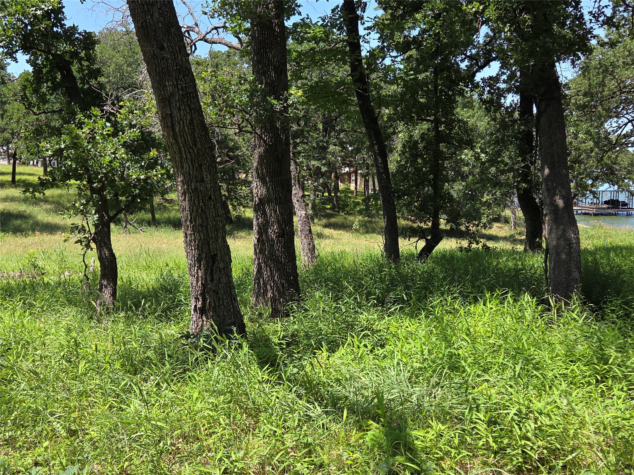 Lot 15R SE County Rd 2359b