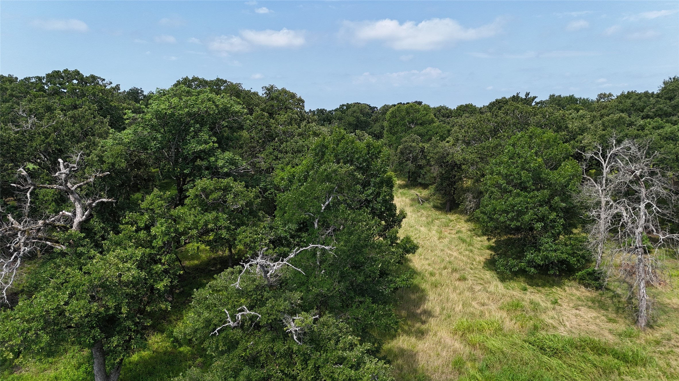Lot 15R SE County Rd 2359b