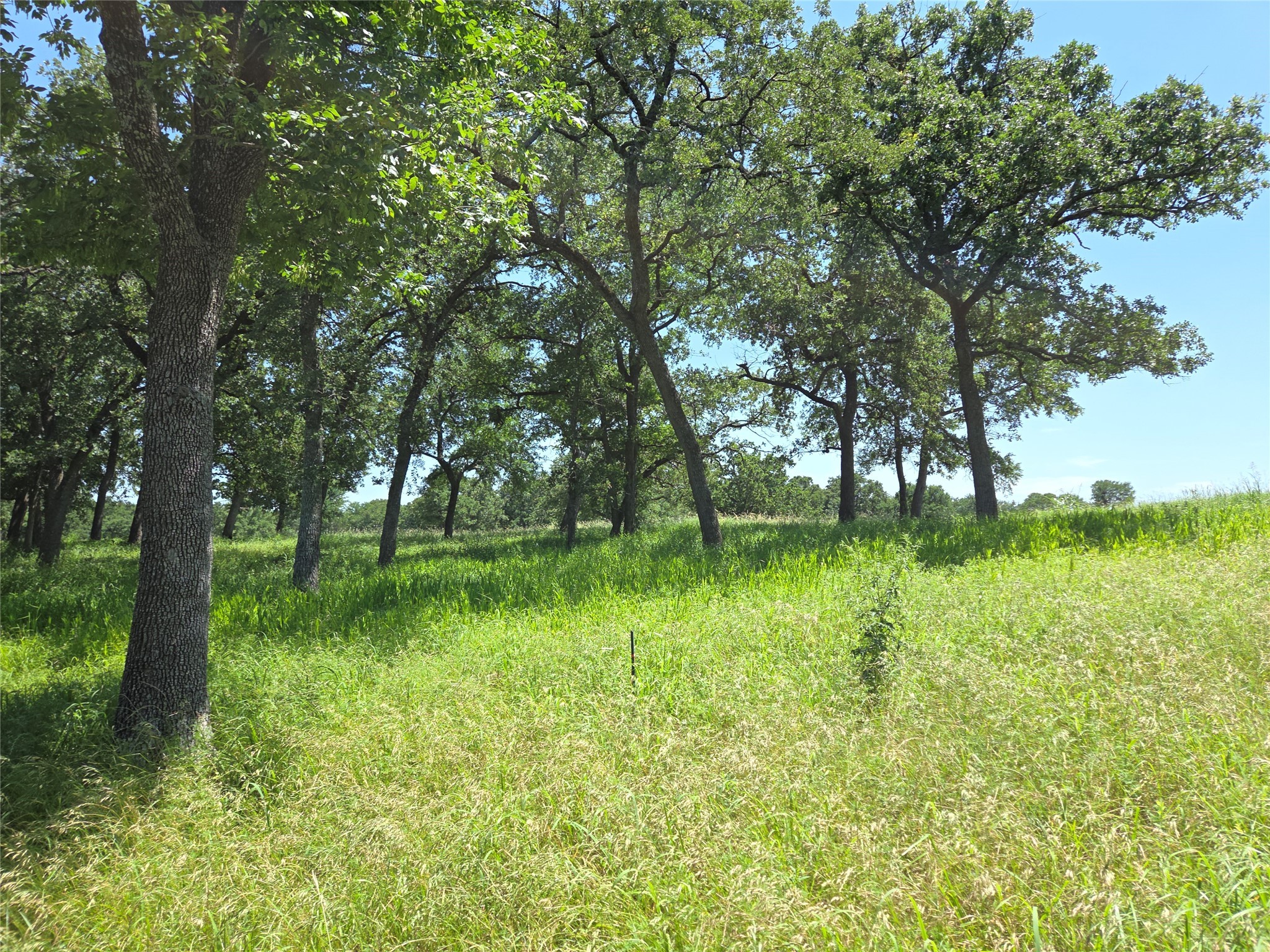Lot 15R SE County Rd 2359b