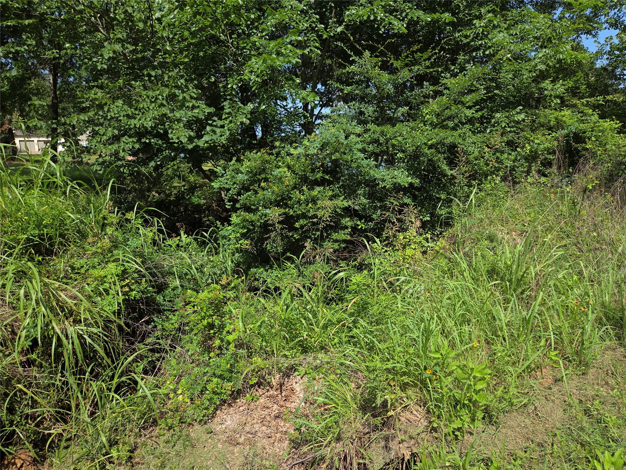 Lot 32 Sweetwater Ranch