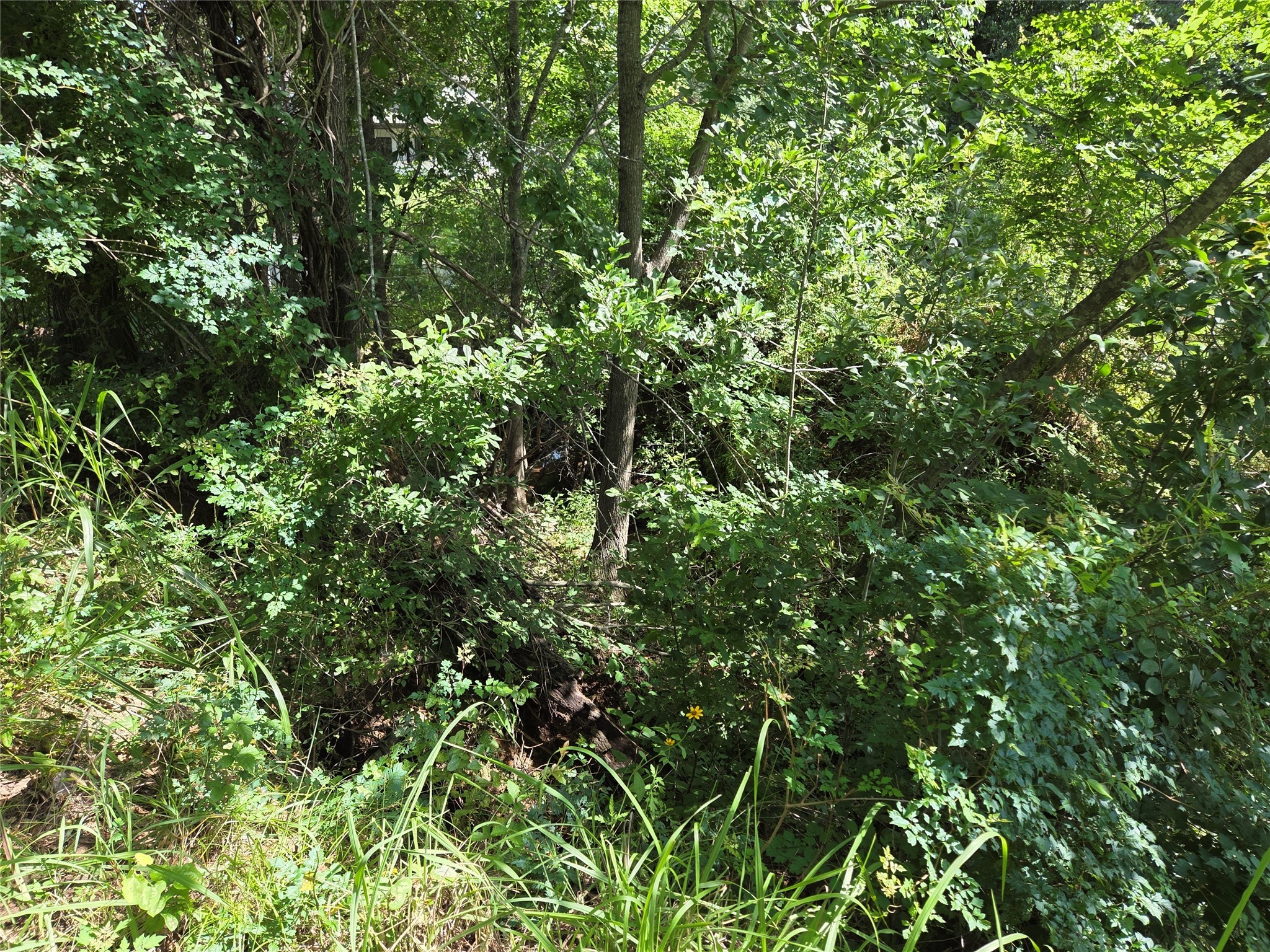 Lot 32 Sweetwater Ranch