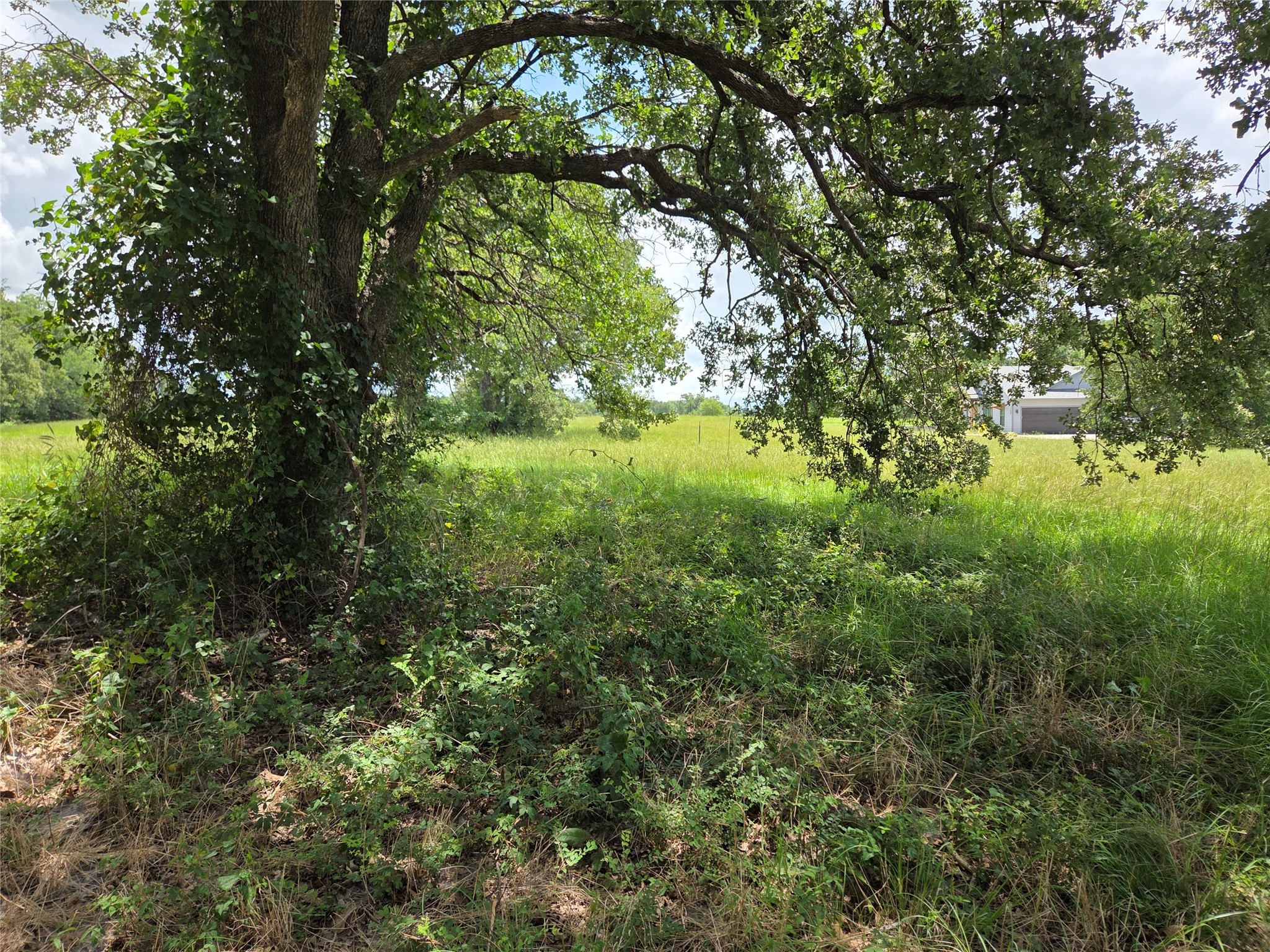 Lot 63 Paradise Cove