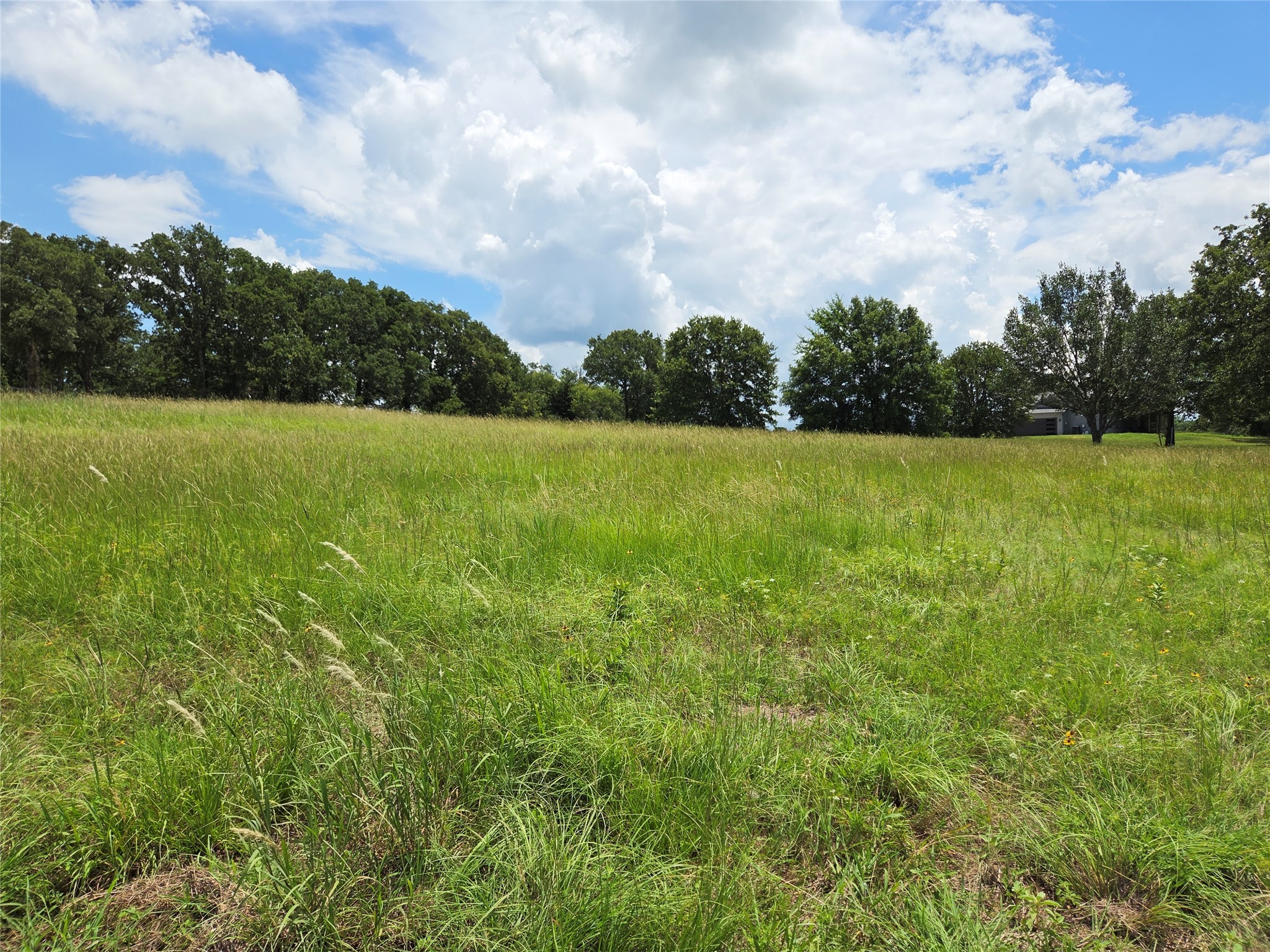 Lot 63 Paradise Cove