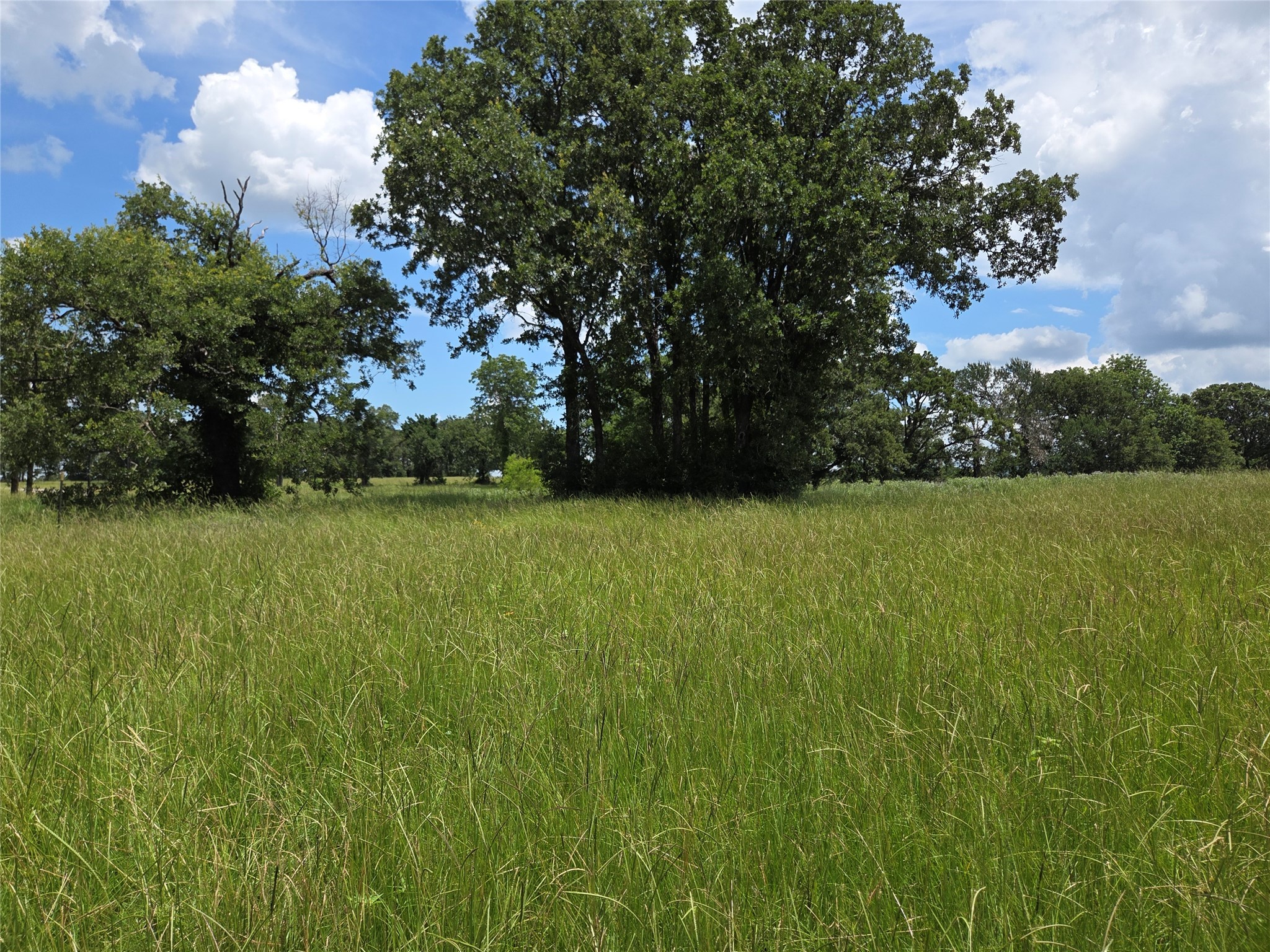 Lot 63 Paradise Cove