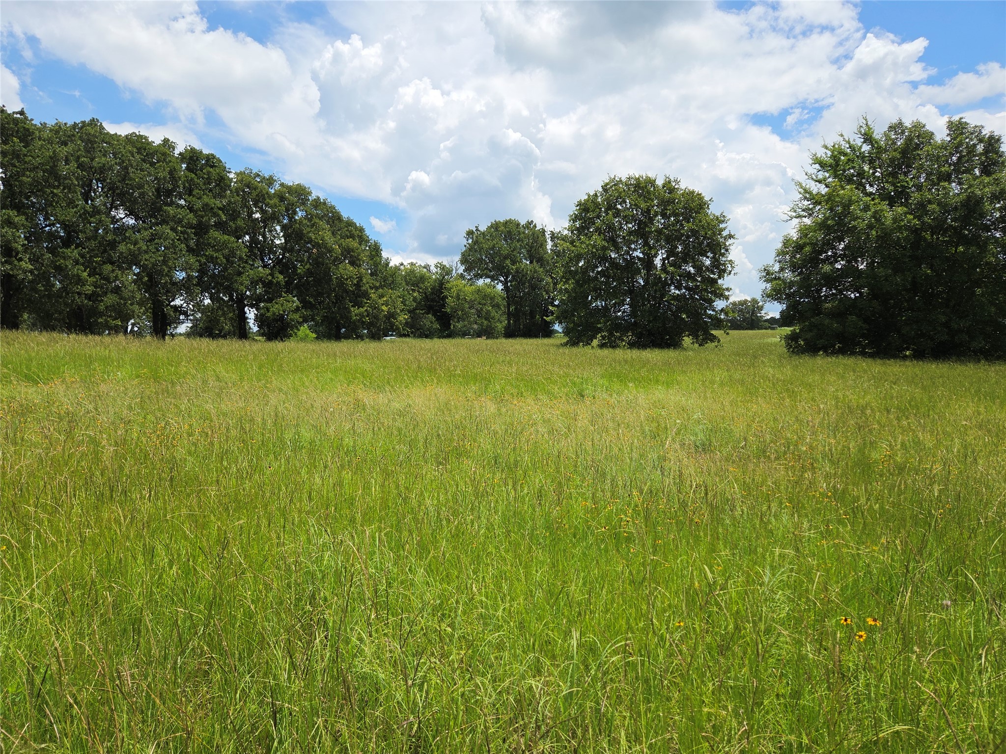 Lot 63 Paradise Cove