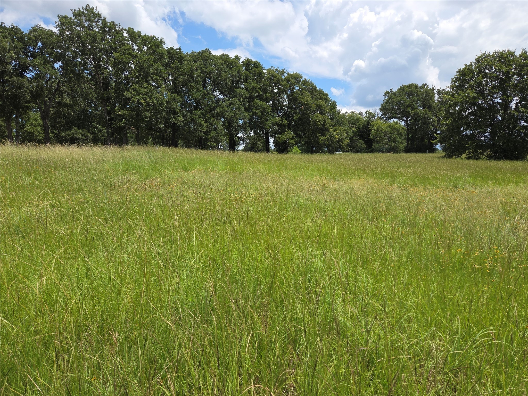 Lot 63 Paradise Cove