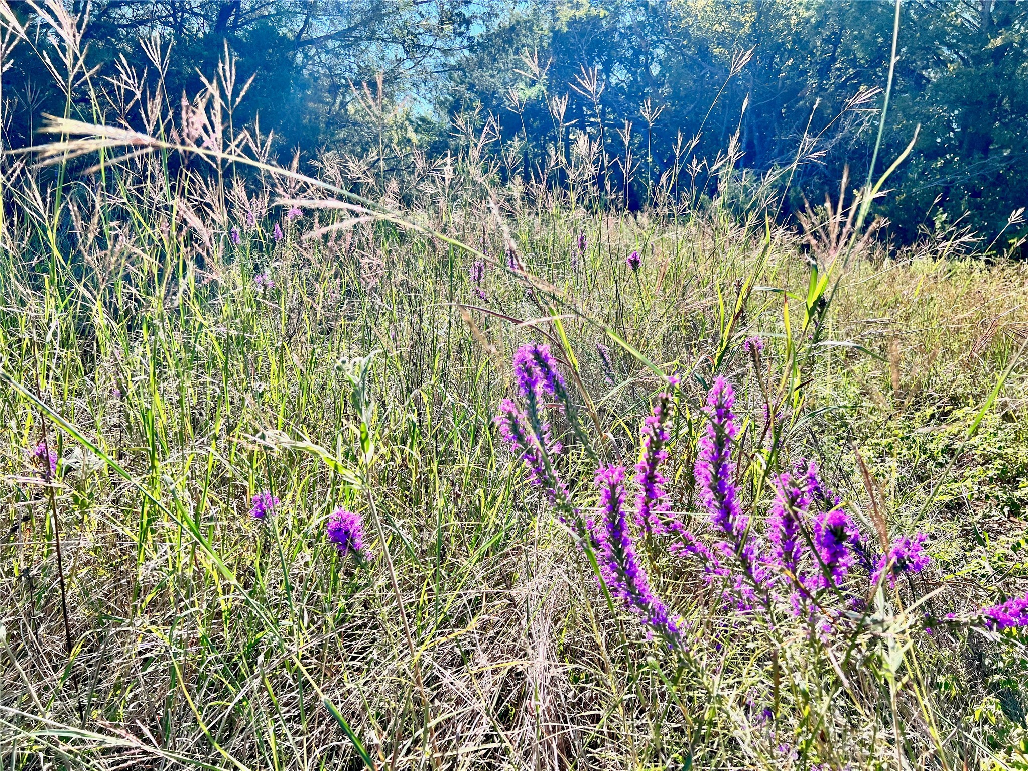 Lot 15R-2 Hout Bay Road