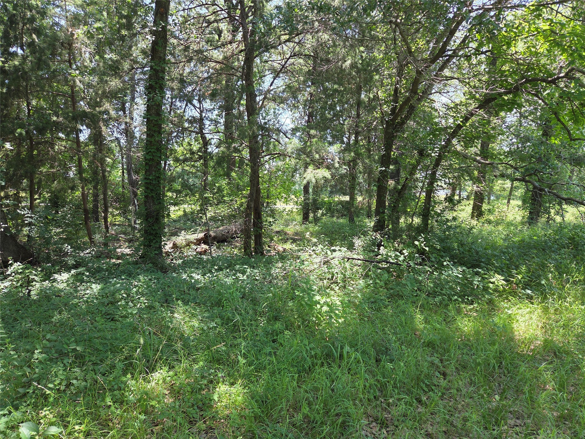 Lot 27 Sunrise Trail