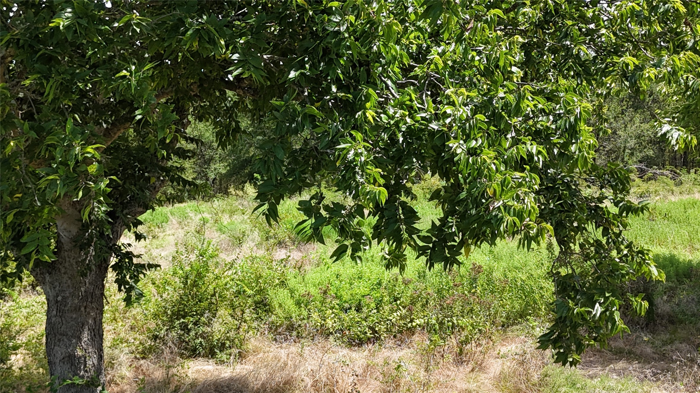 Lot 27 Sunrise Trail