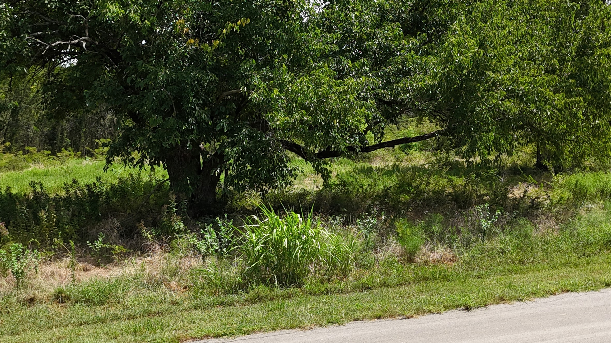 Lot 27 Sunrise Trail