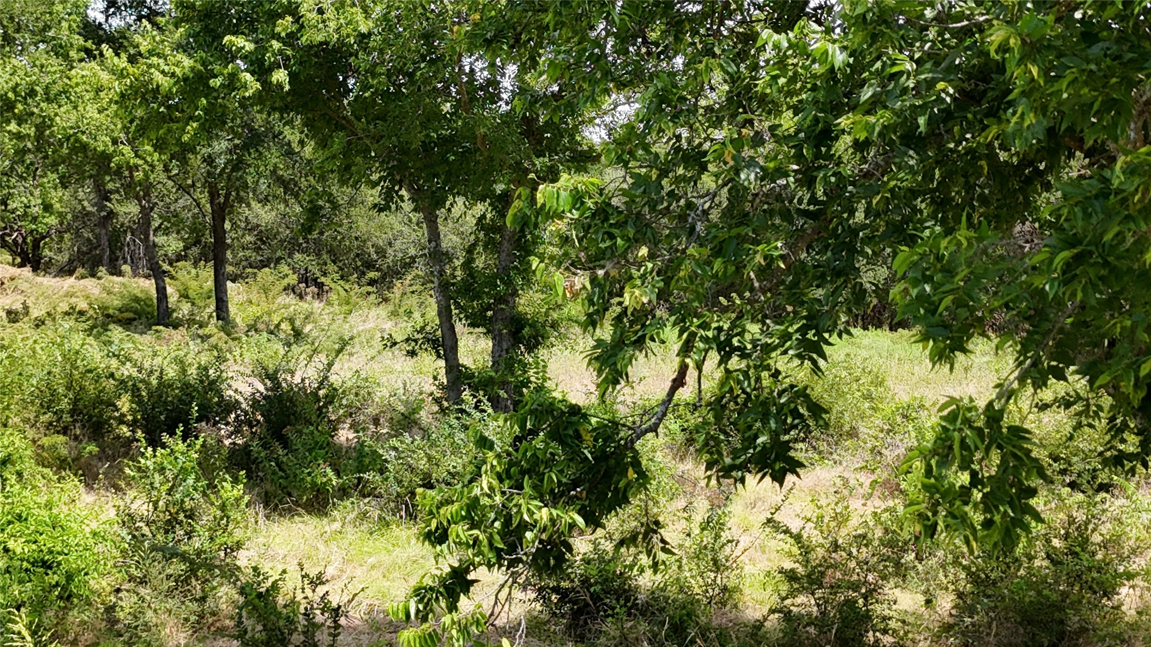 Lot 27 Sunrise Trail