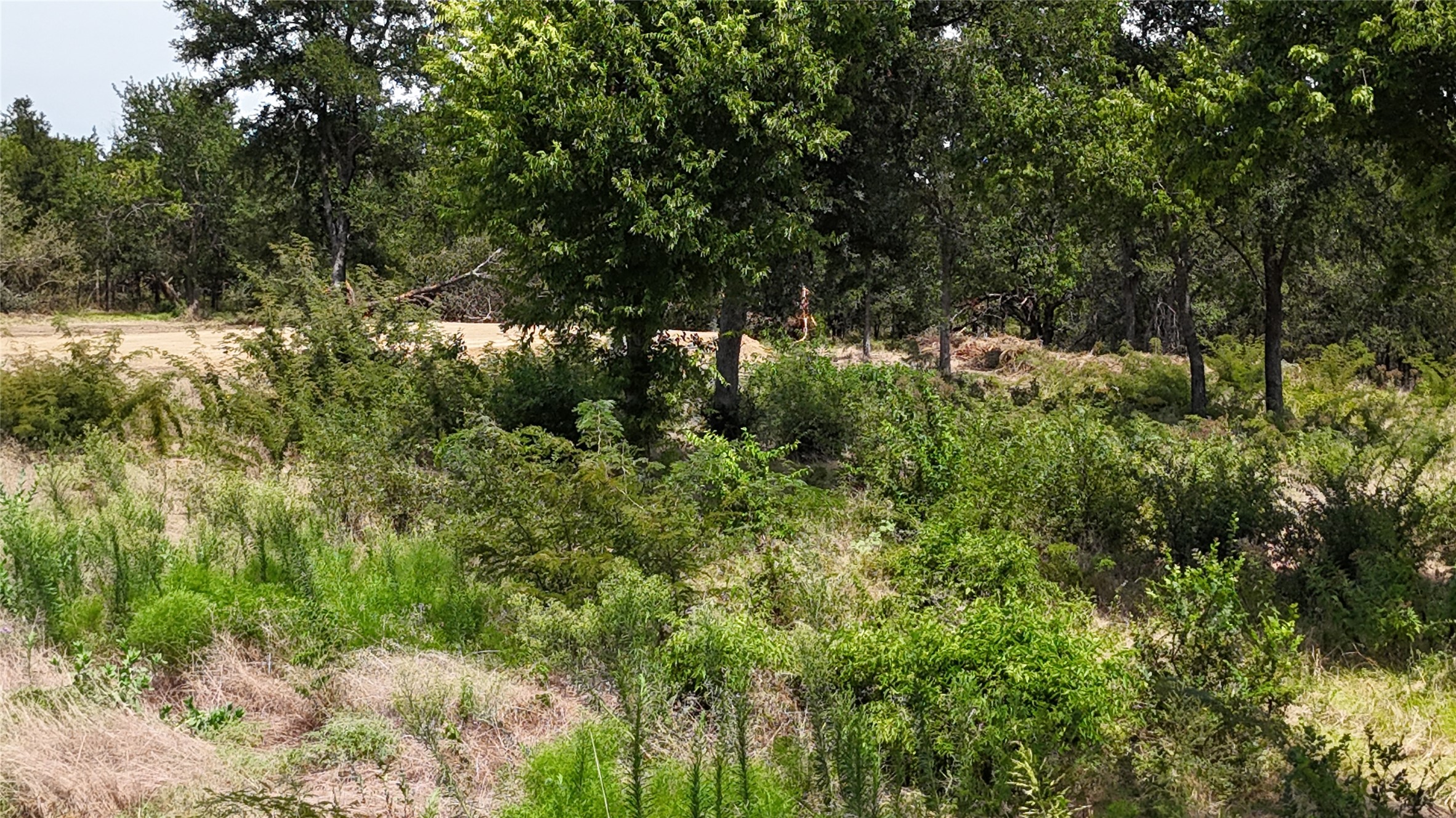 Lot 27 Sunrise Trail