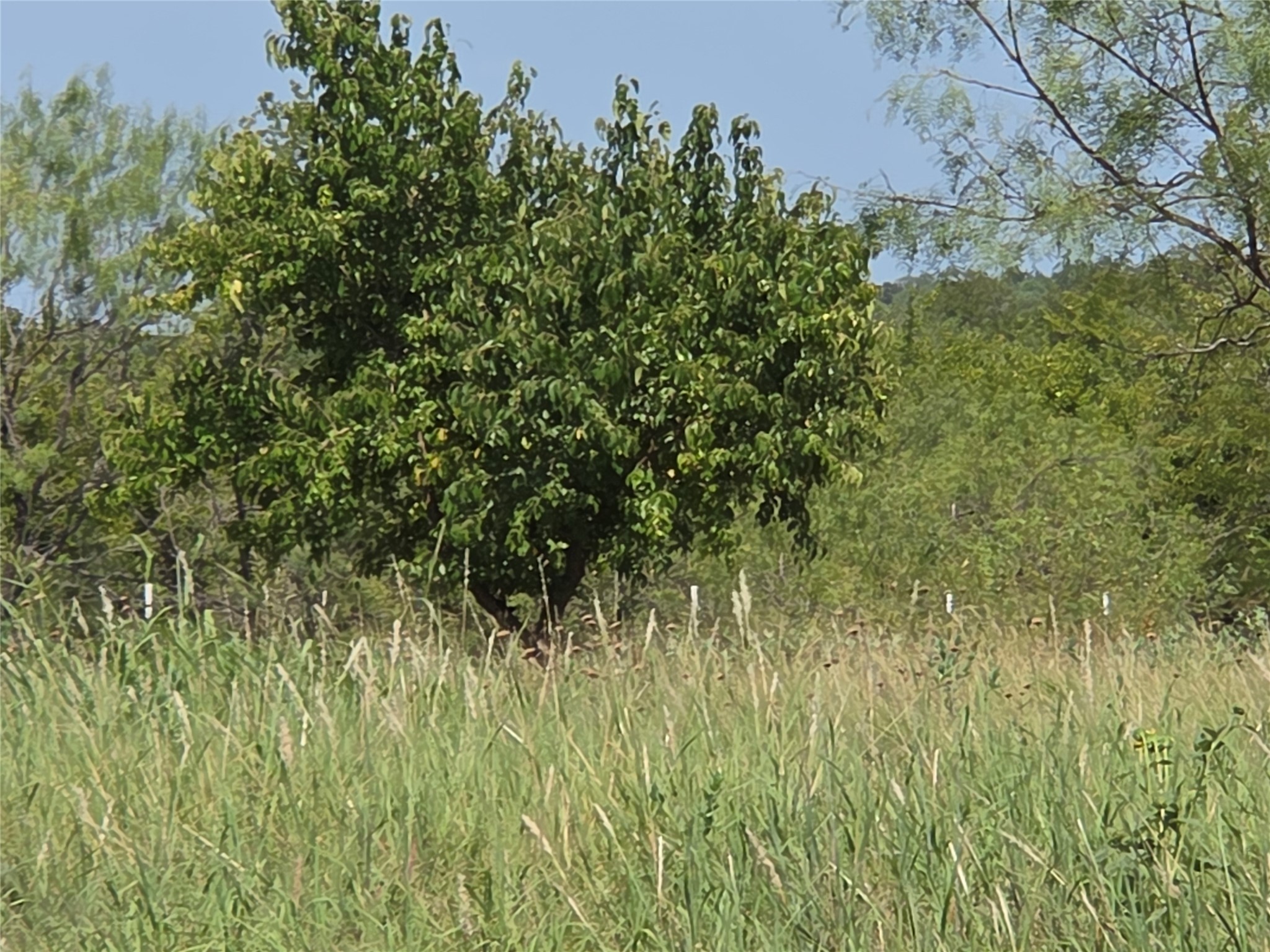 Lot 54R4 Retreat Ranchett SW County Road