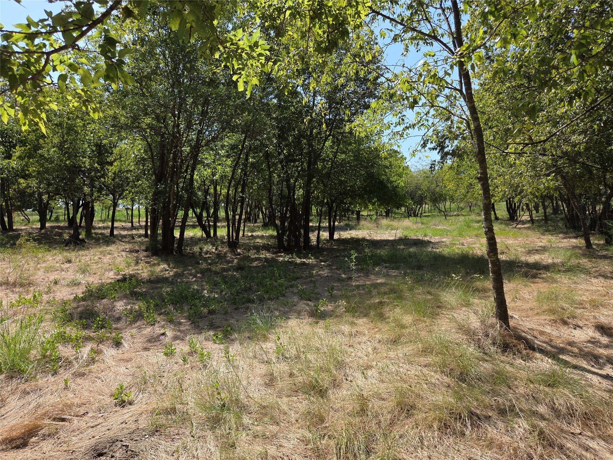 Lot 54R4 Retreat Ranchett SW County Road