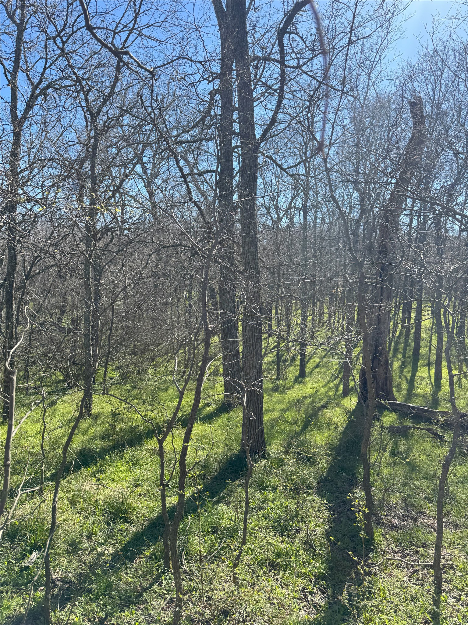 Tract 1 SE County Road 3230