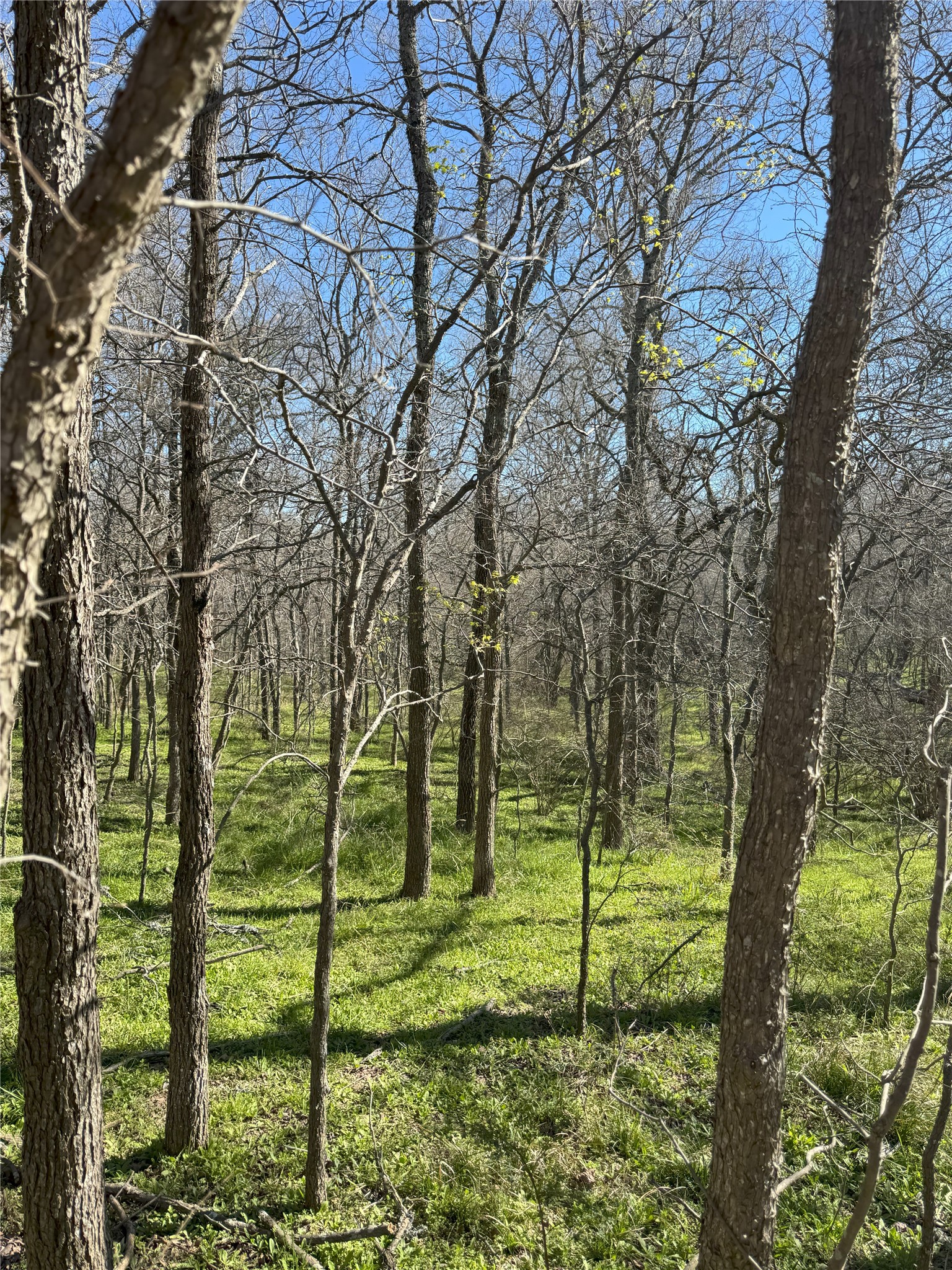 Tract 1 SE County Road 3230