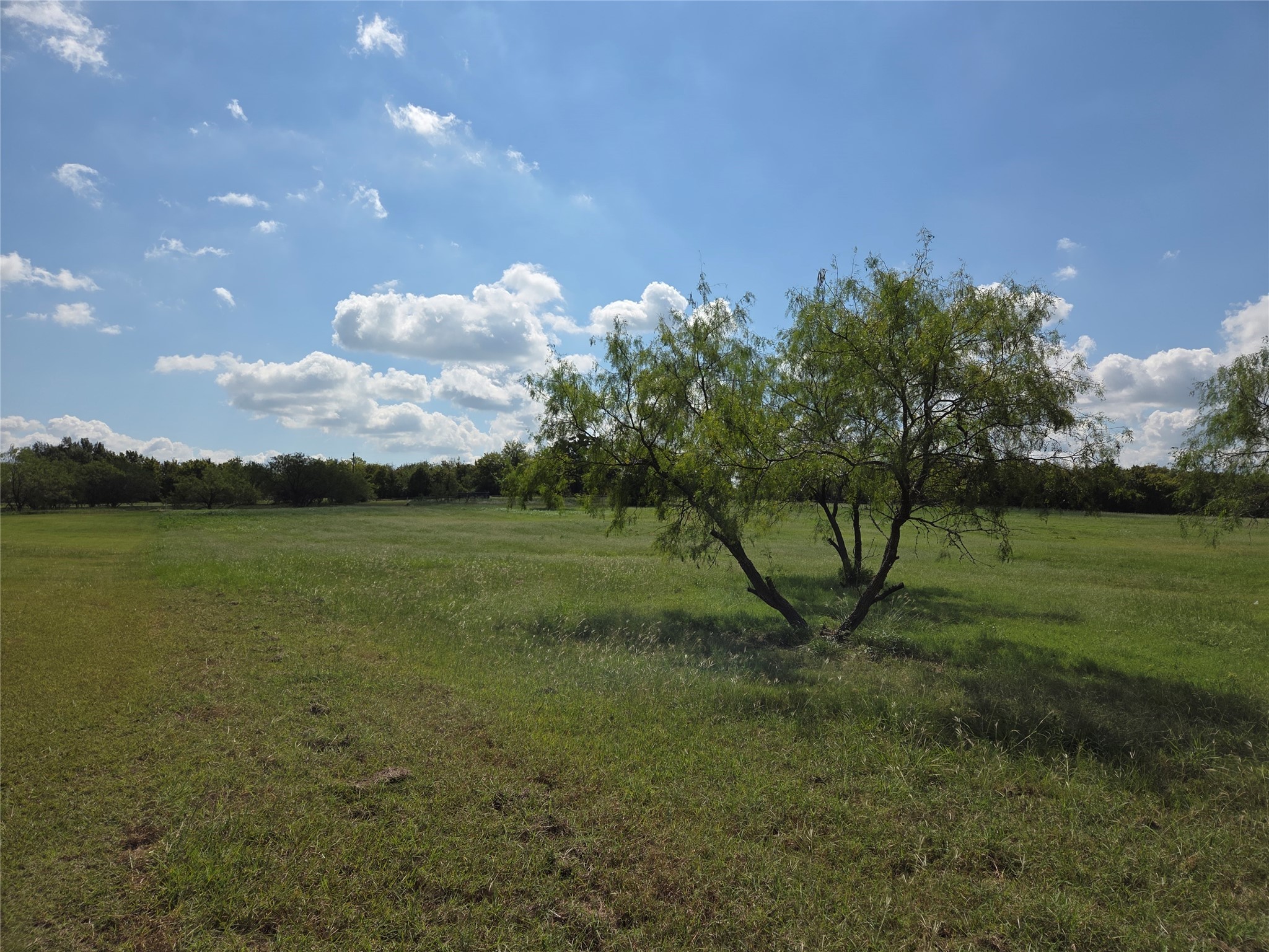Lot 130 Lake Vista Drive