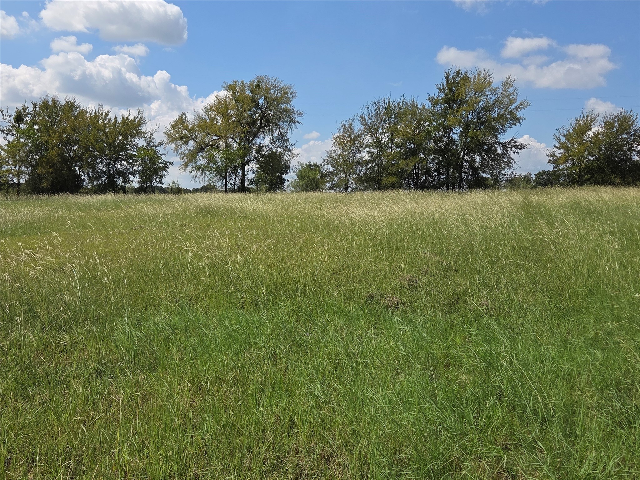 Lot 15 Open Water Way