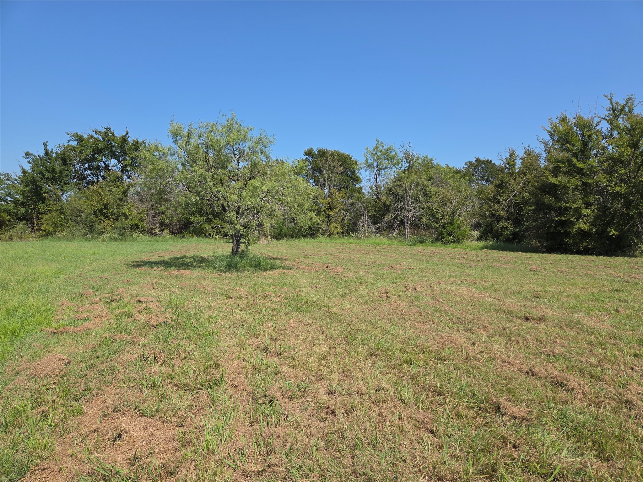 Lot 146 La Bota Drive