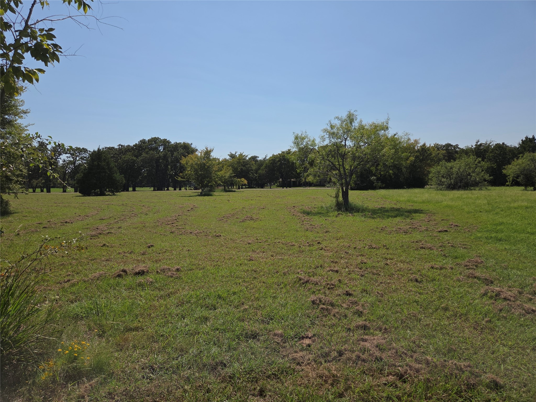 Lot 146 La Bota Drive