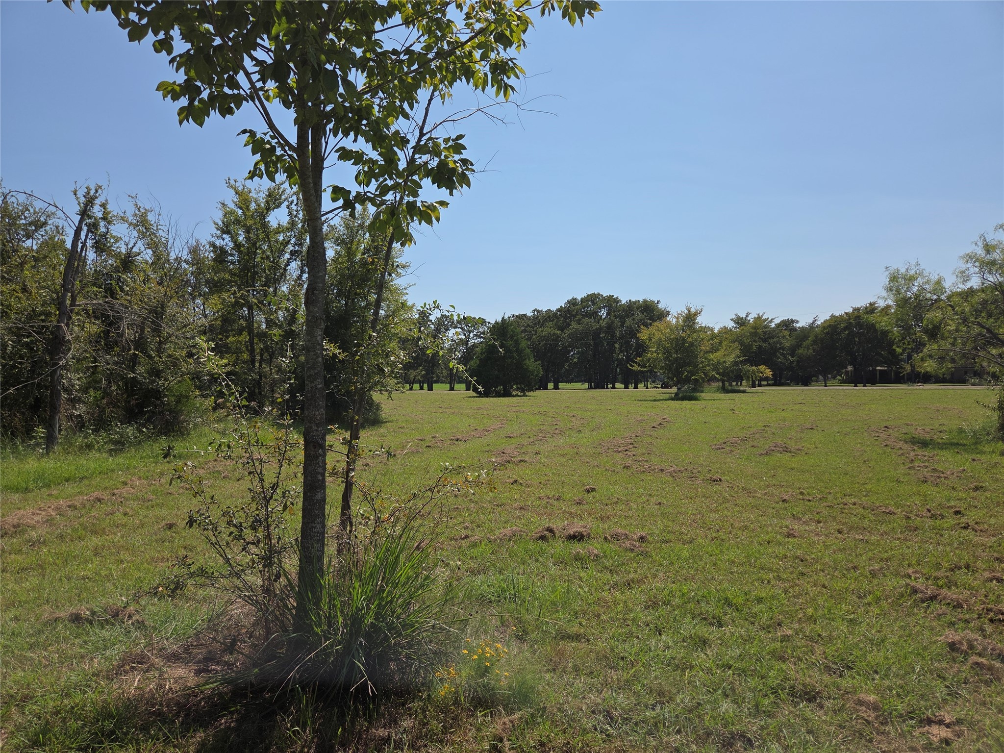 Lot 146 La Bota Drive