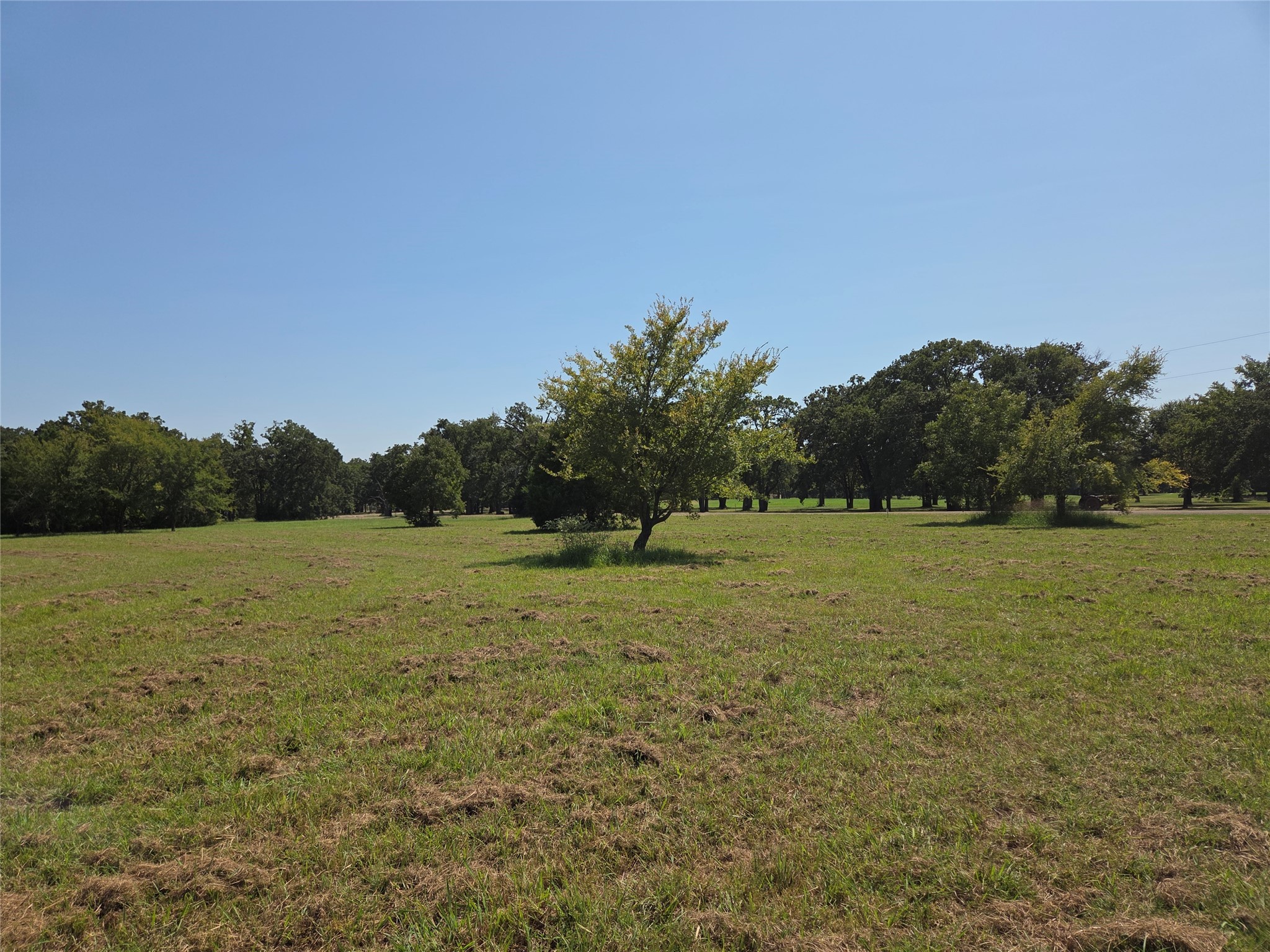 Lot 146 La Bota Drive