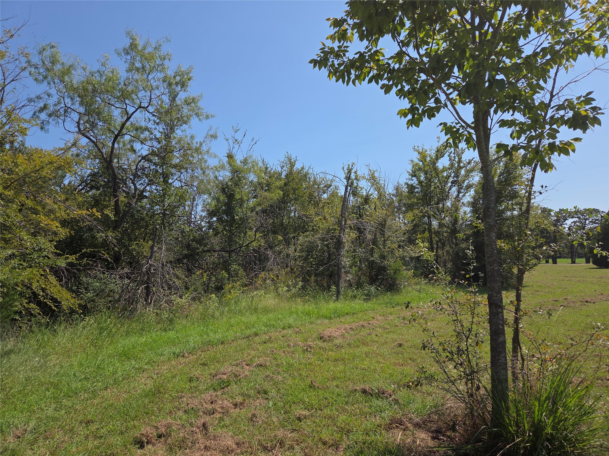 Lot 146 La Bota Drive