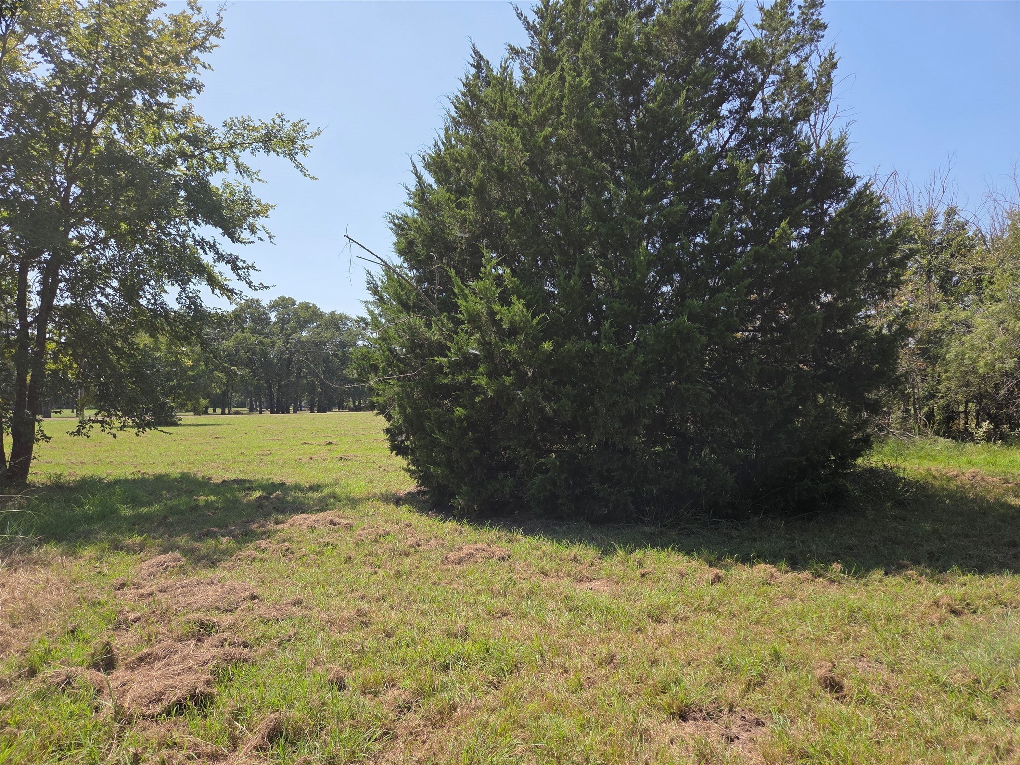 Lot 146 La Bota Drive