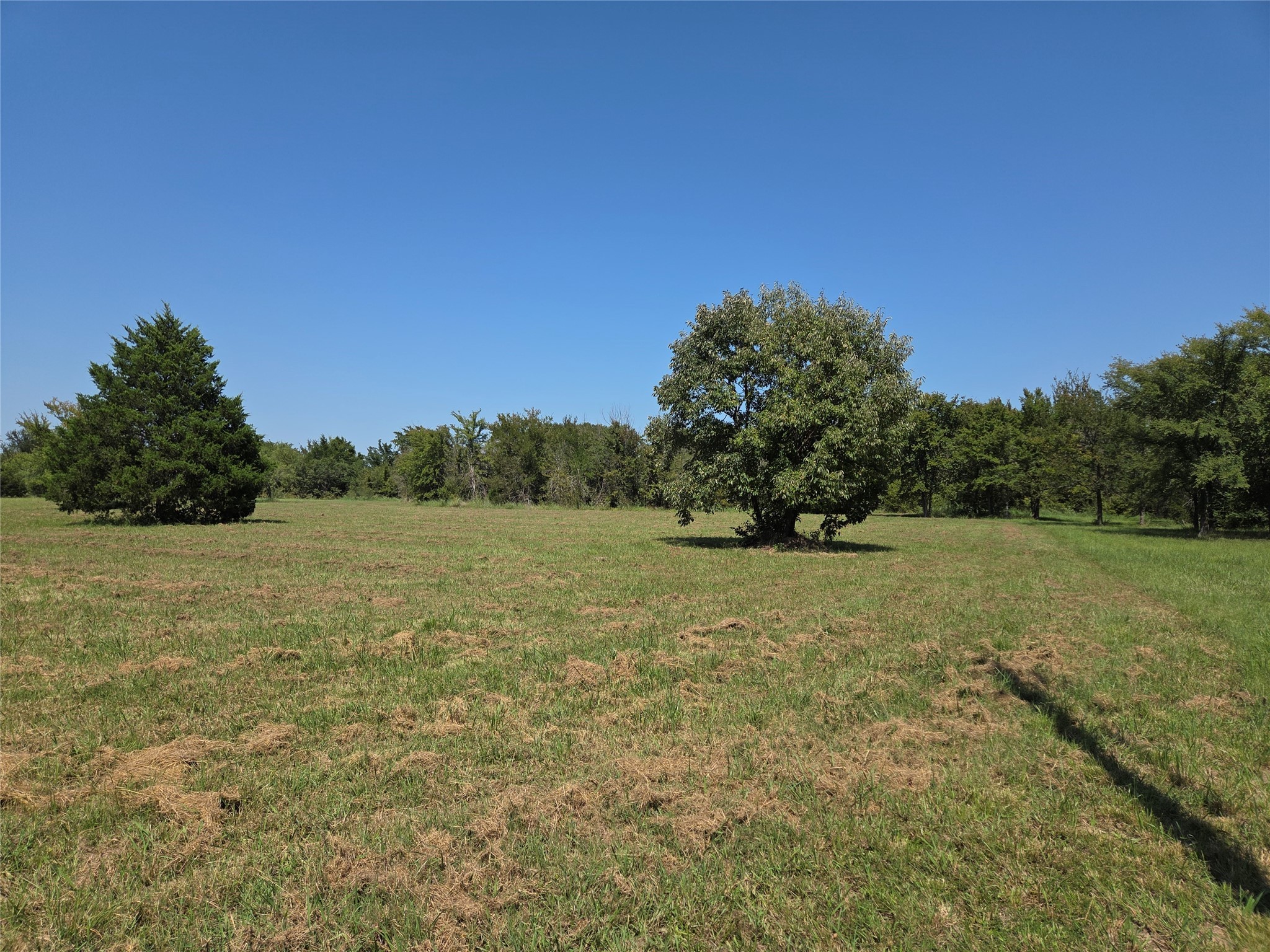 Lot 146 La Bota Drive