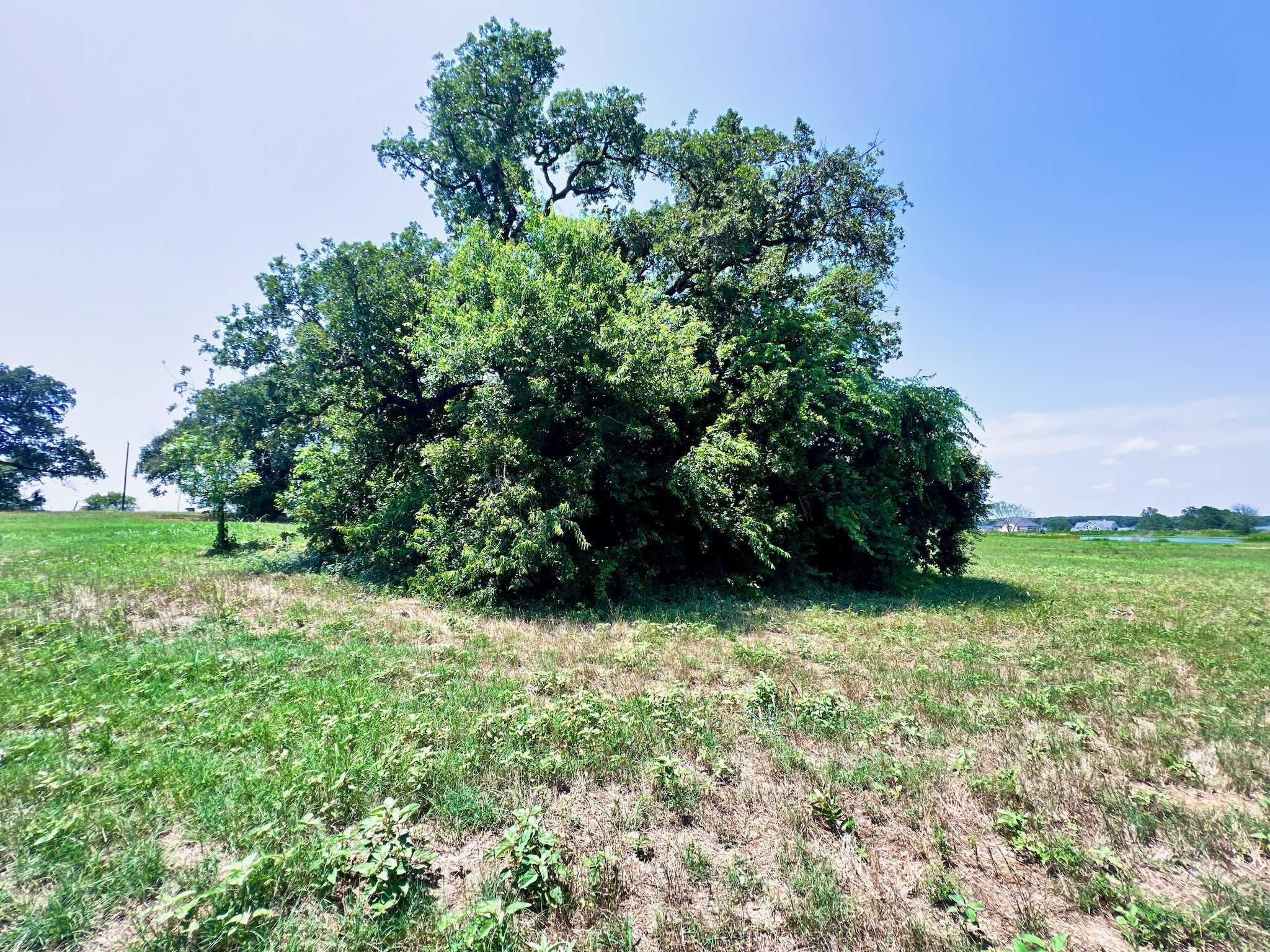 Lot 73 SE County Road 3150