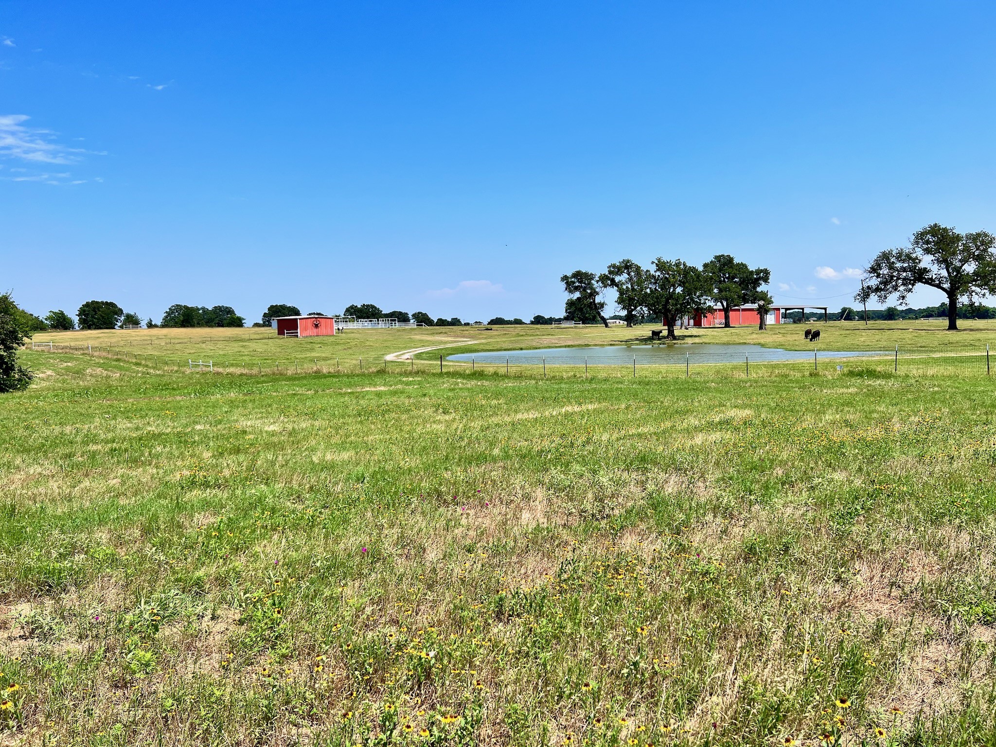 Lot 73 SE County Road 3150
