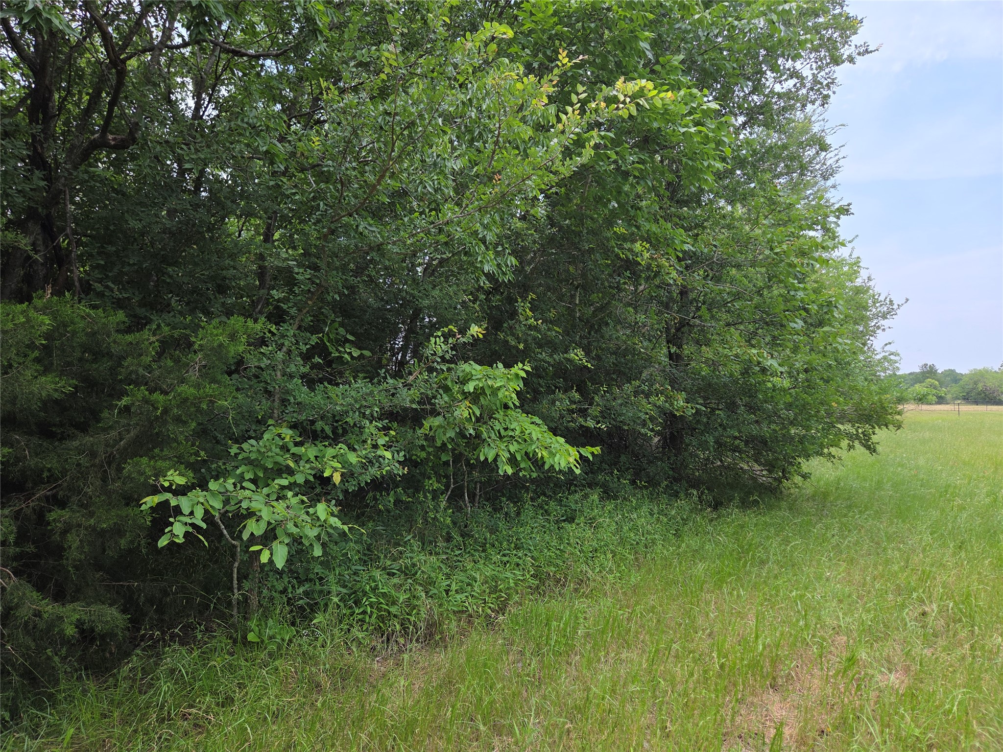 Lot 182 & BS #A31 Cobalt Cove