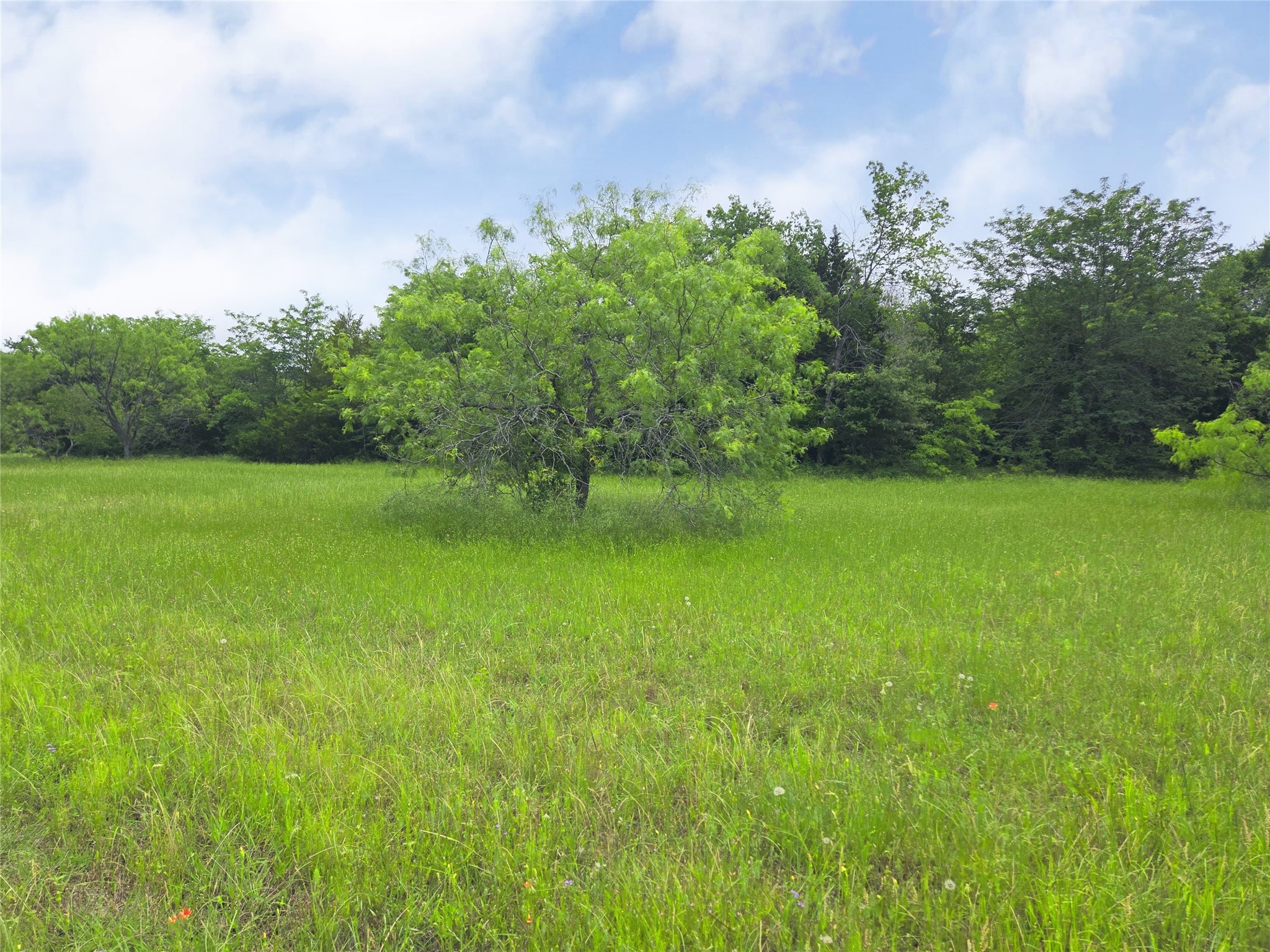 Lot 182 & BS #A31 Cobalt Cove