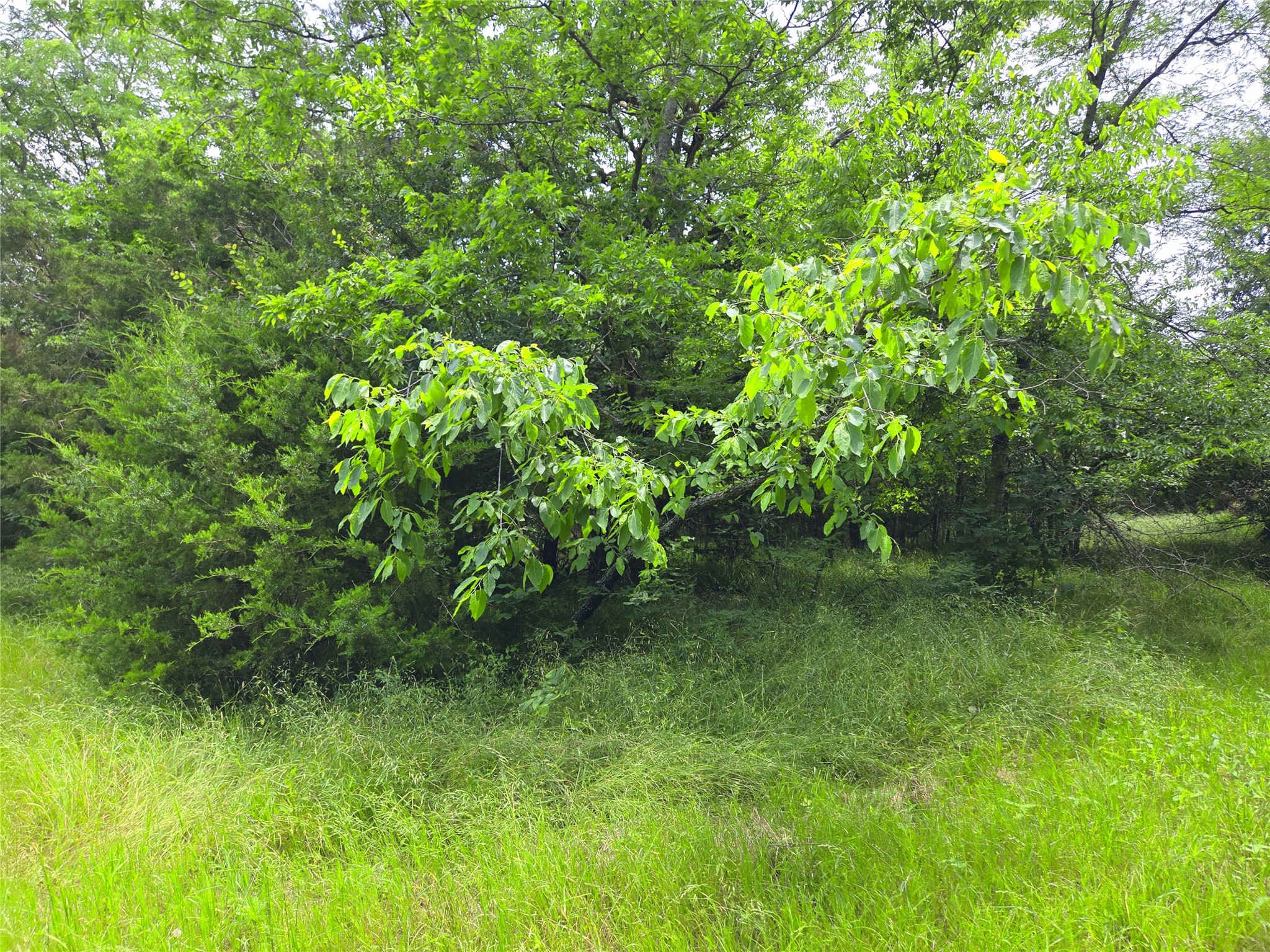 Lot 182 & BS #A31 Cobalt Cove