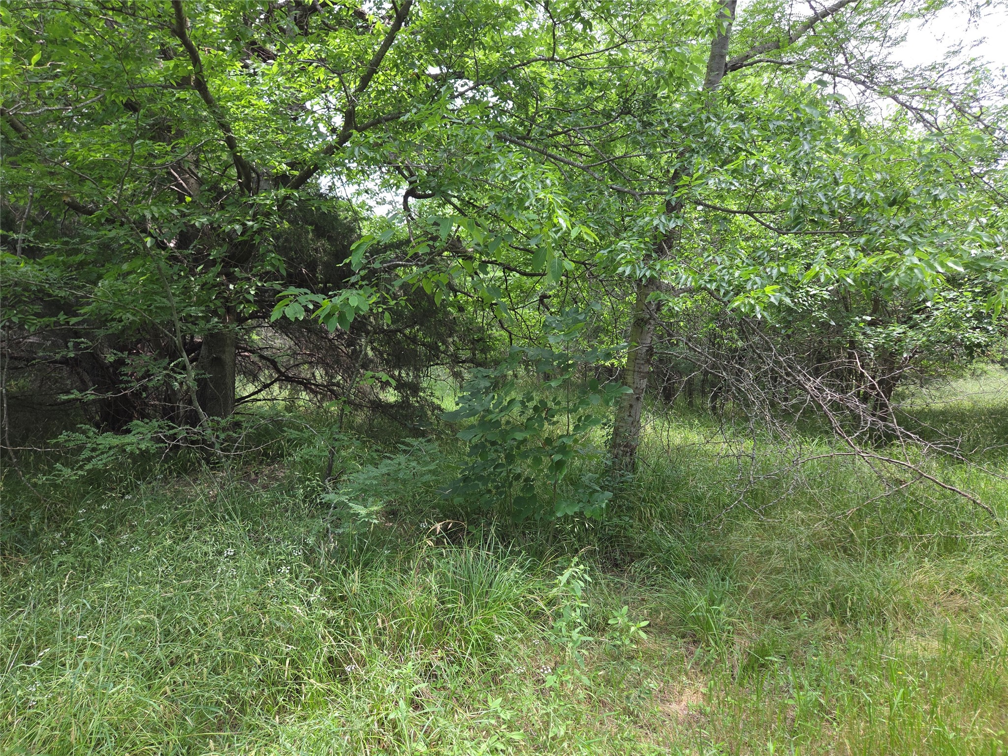 Lot 182 & BS #A31 Cobalt Cove