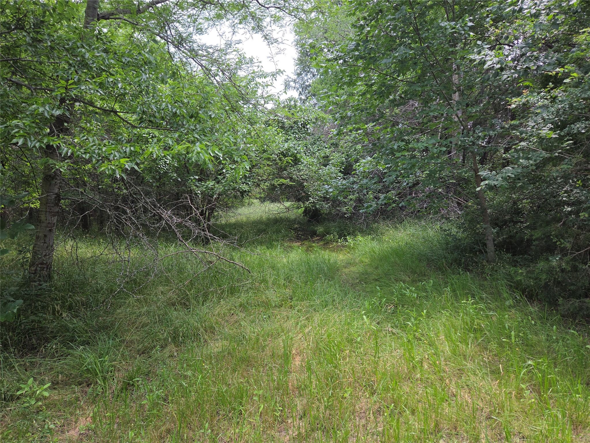 Lot 182 & BS #A31 Cobalt Cove