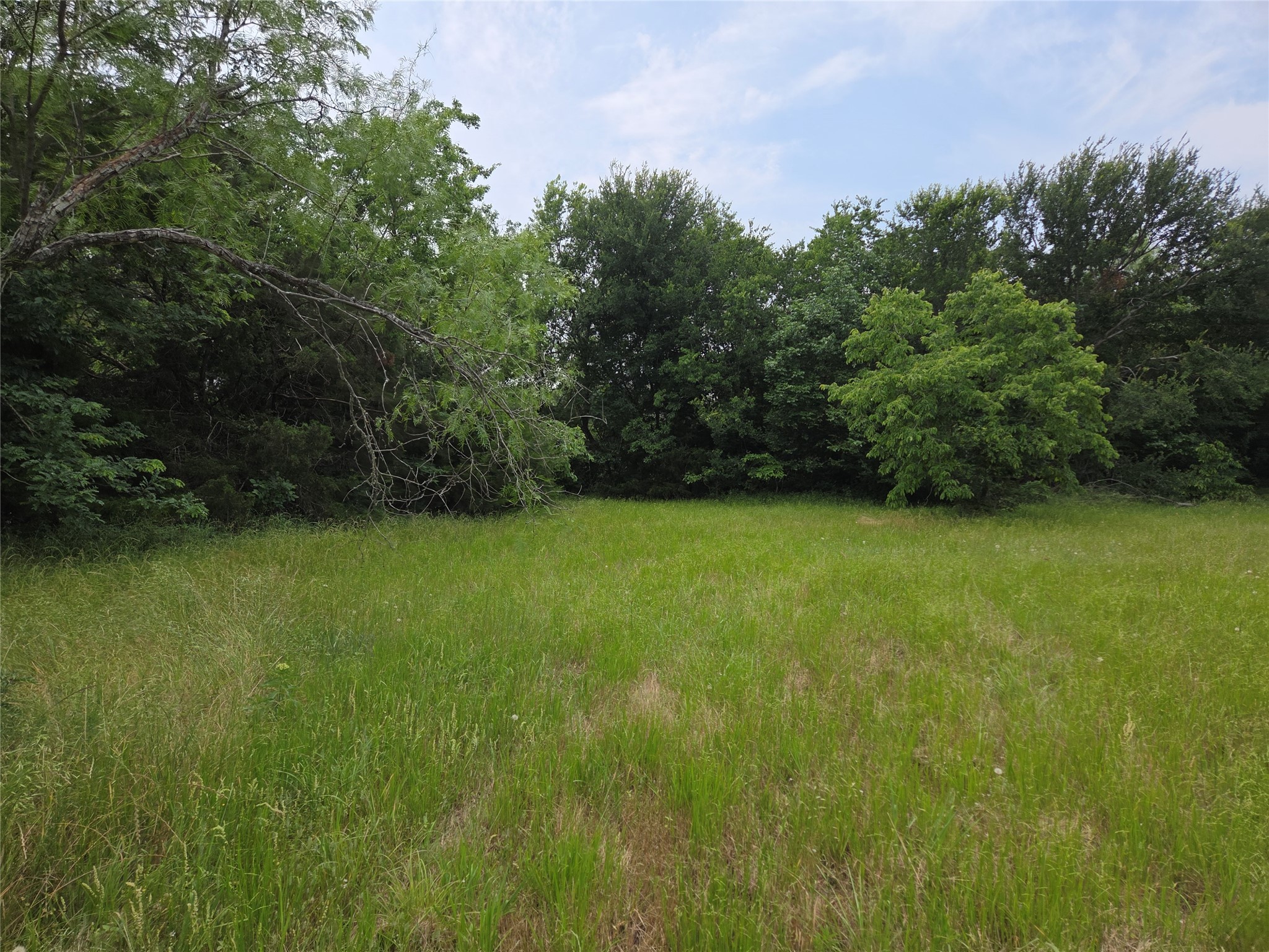 Lot 182 & BS #A31 Cobalt Cove