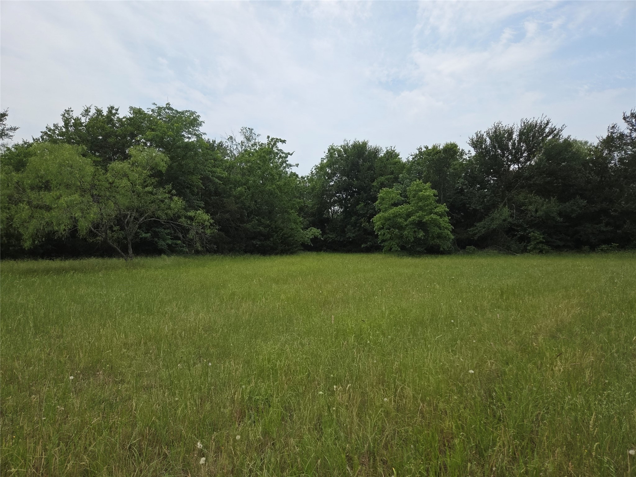 Lot 182 & BS #A31 Cobalt Cove