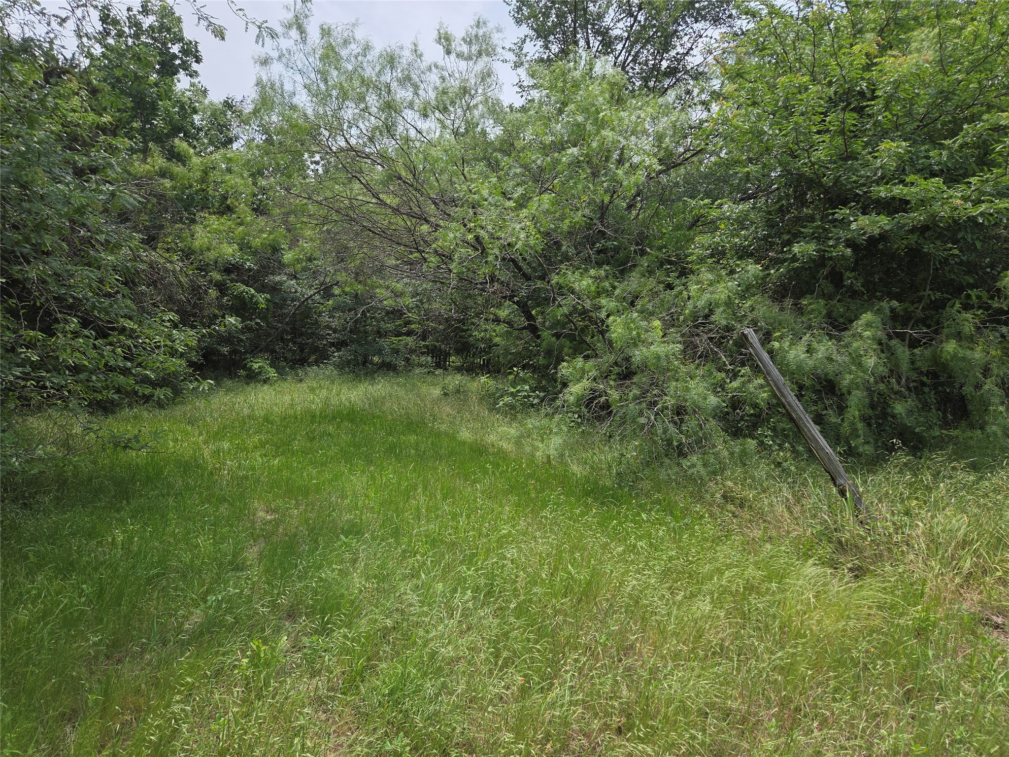 Lot 182 & BS #A31 Cobalt Cove