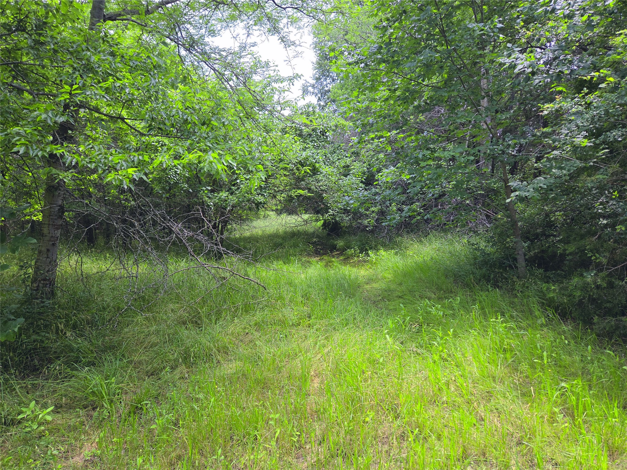 Lot 182 & BS #A31 Cobalt Cove