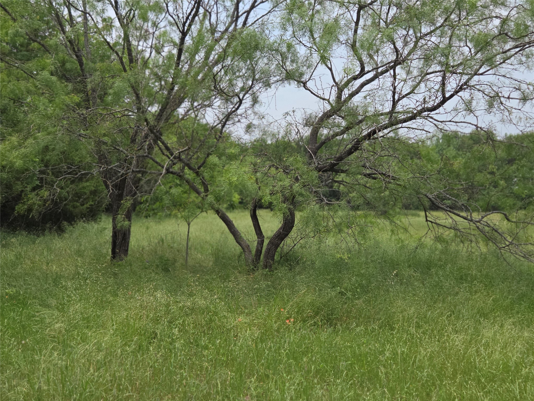 Lot 182 & BS #A31 Cobalt Cove