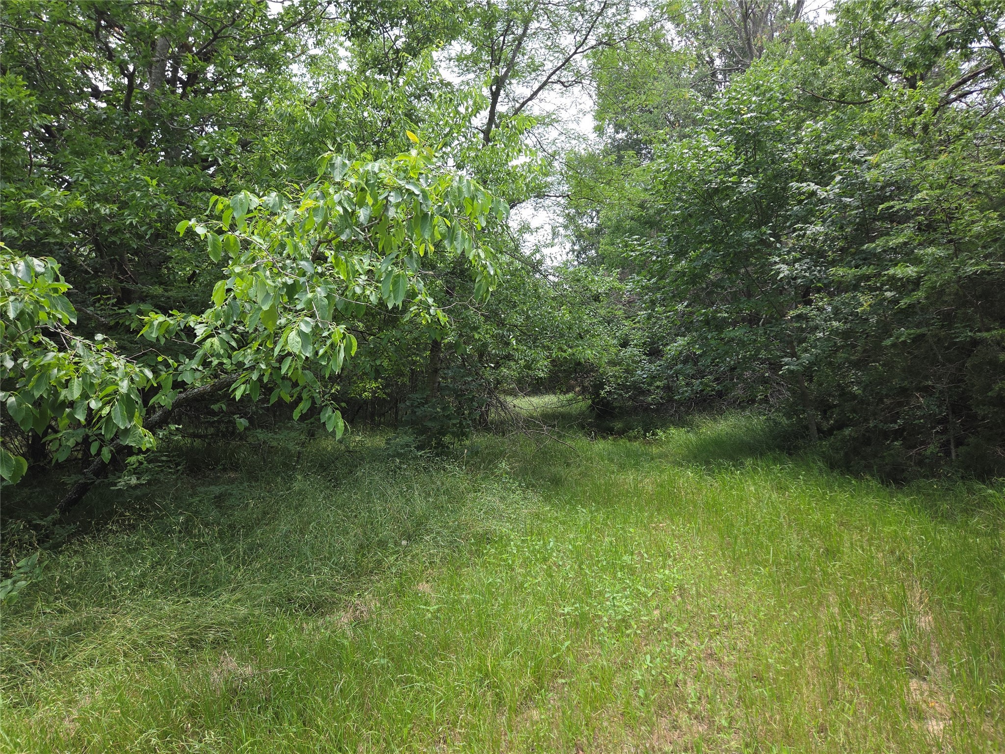 Lot 182 & BS #A31 Cobalt Cove