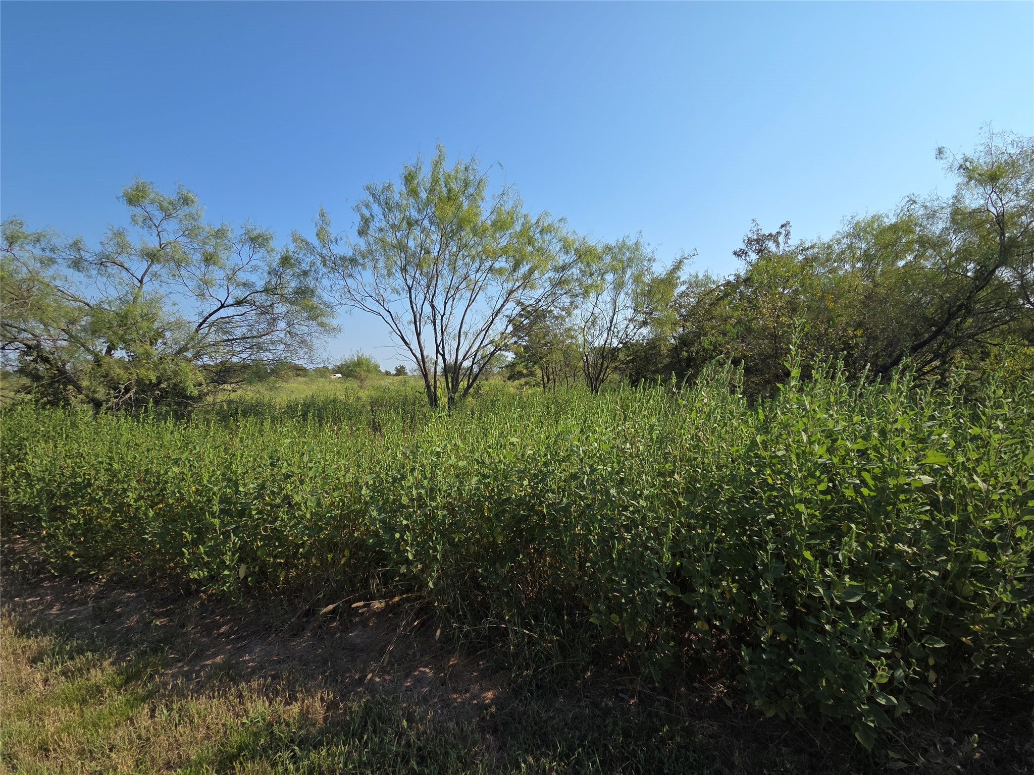 Lot 3 Old Peninsula Trail
