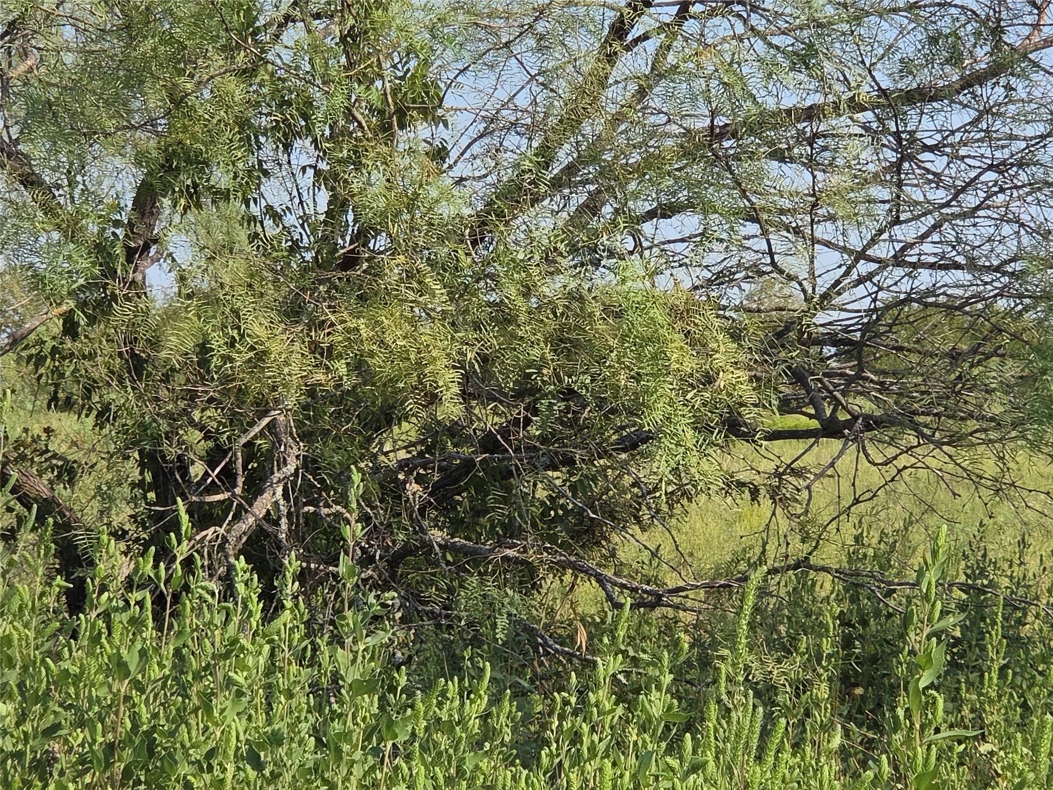 Lot 3 Old Peninsula Trail