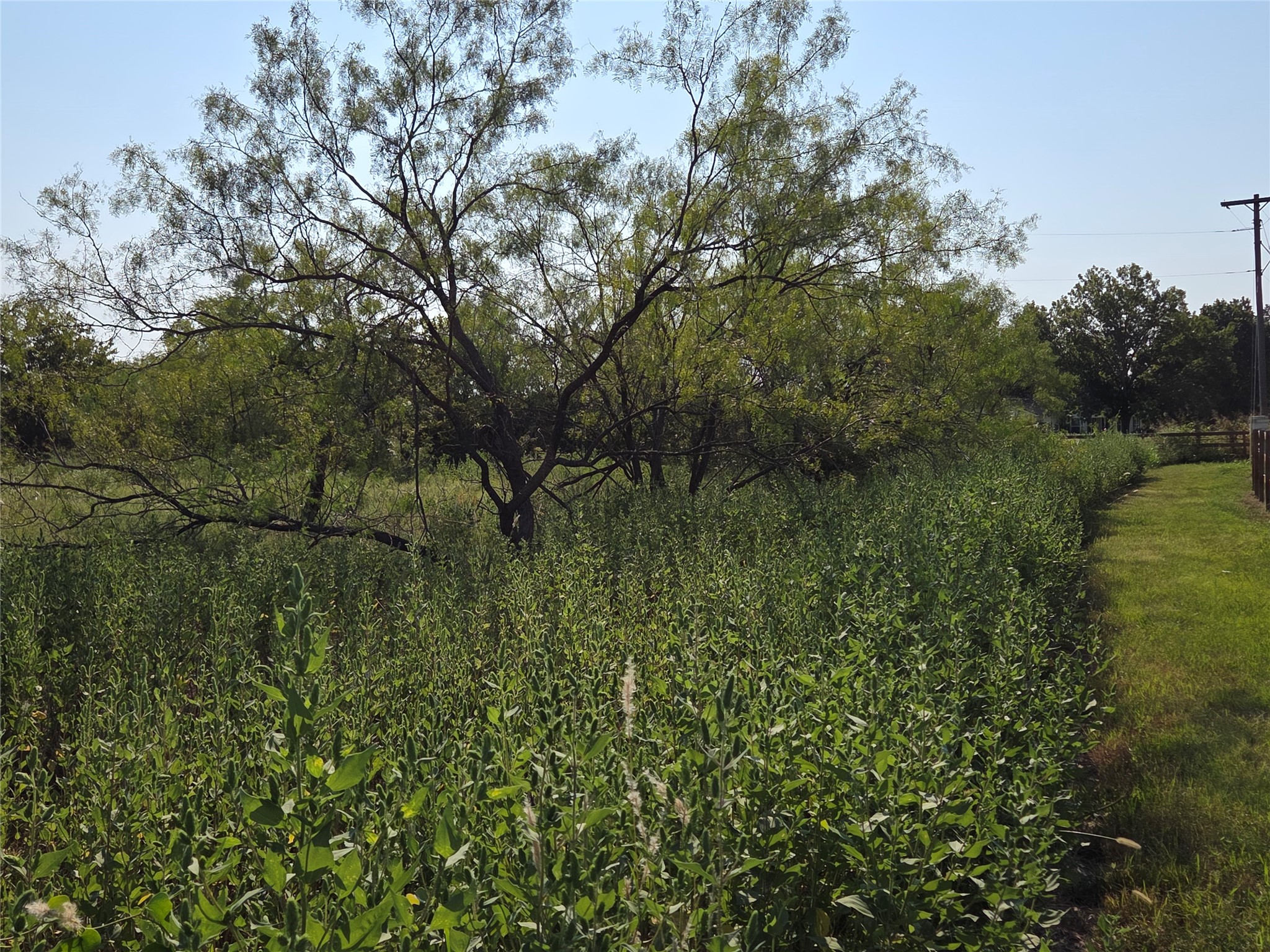 Lot 3 Old Peninsula Trail